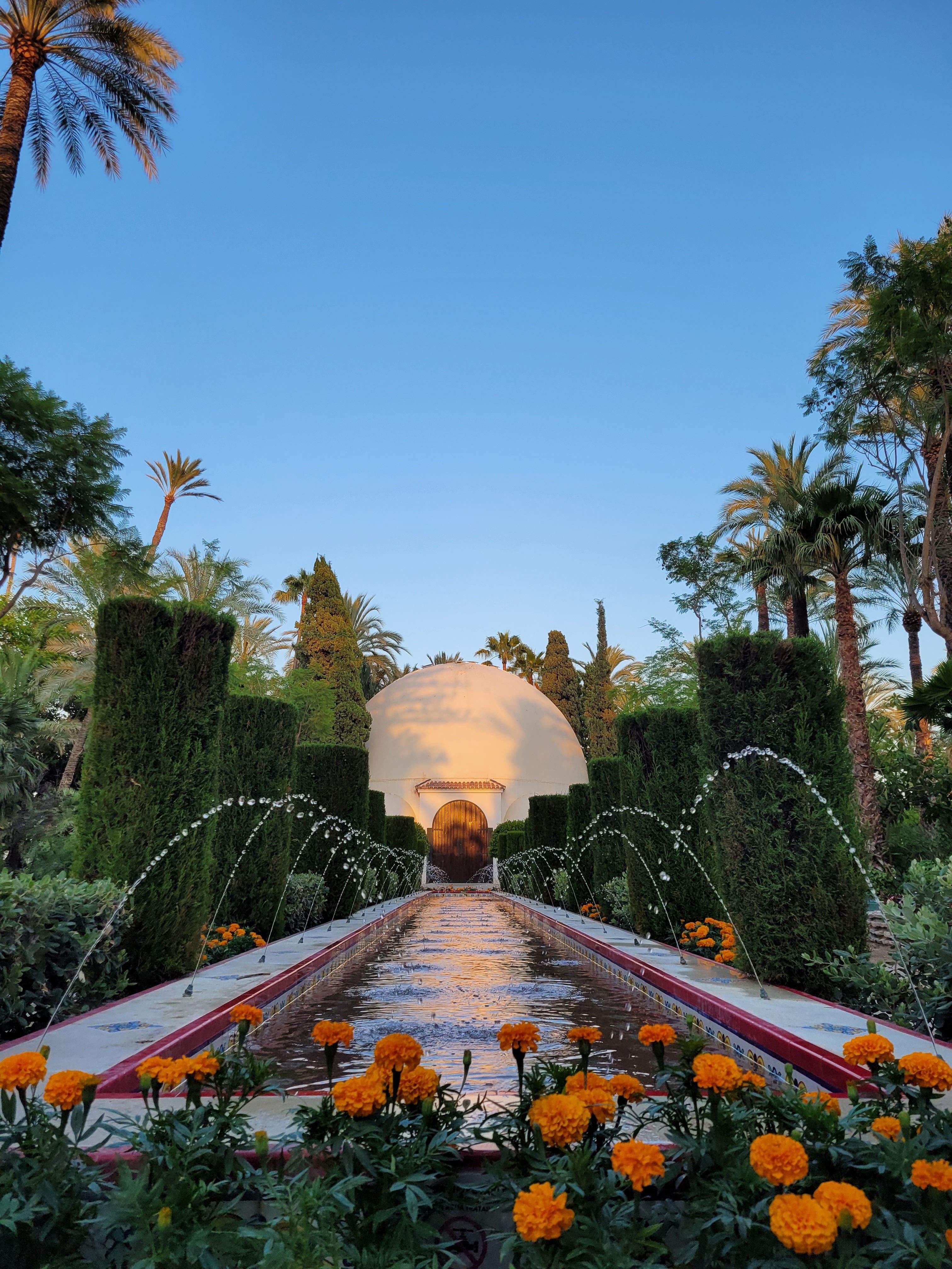 Un racó de calma · Parc del palmeral (Elche) FOTO: Jan Antón Ruiz 