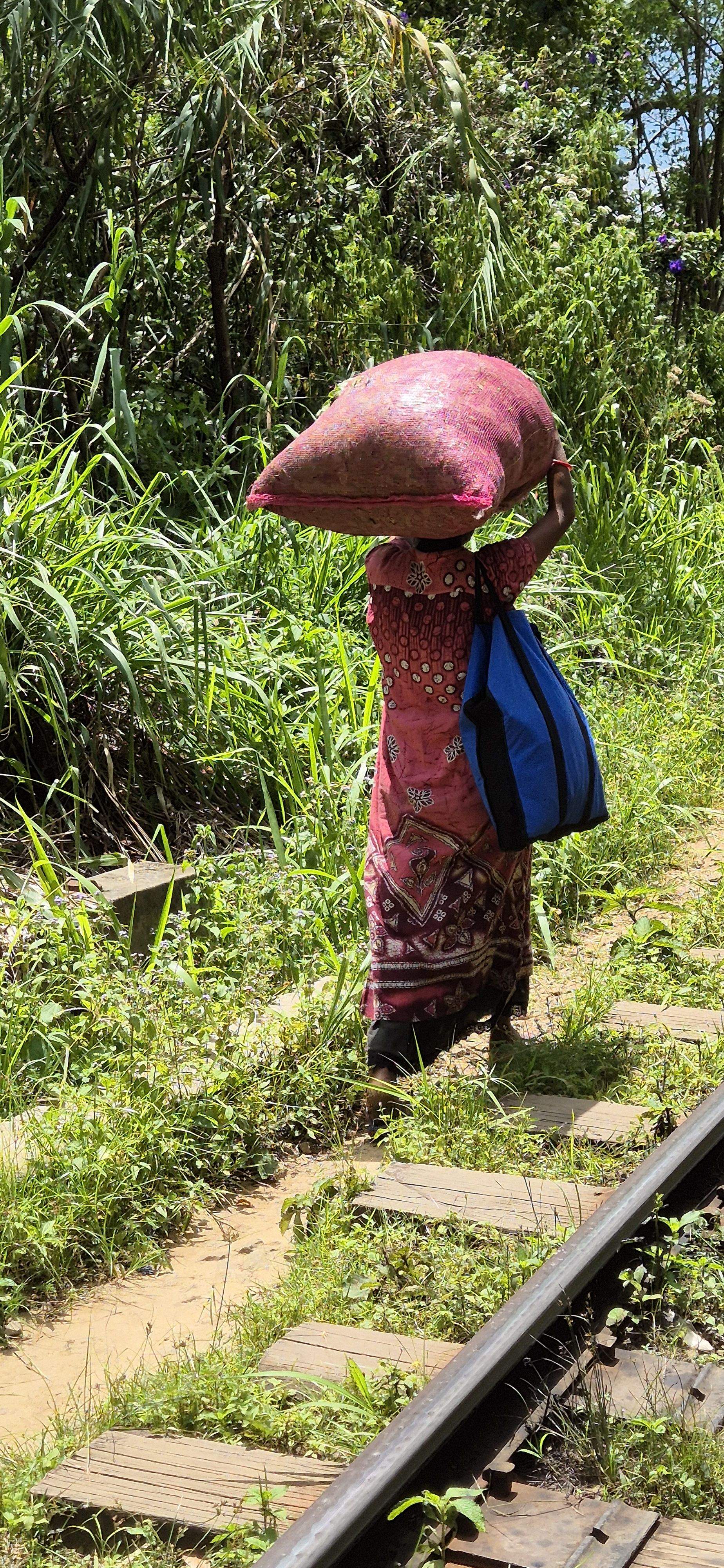 Sacrifici · Sri Lanka FOTO: Mar Perez Perez