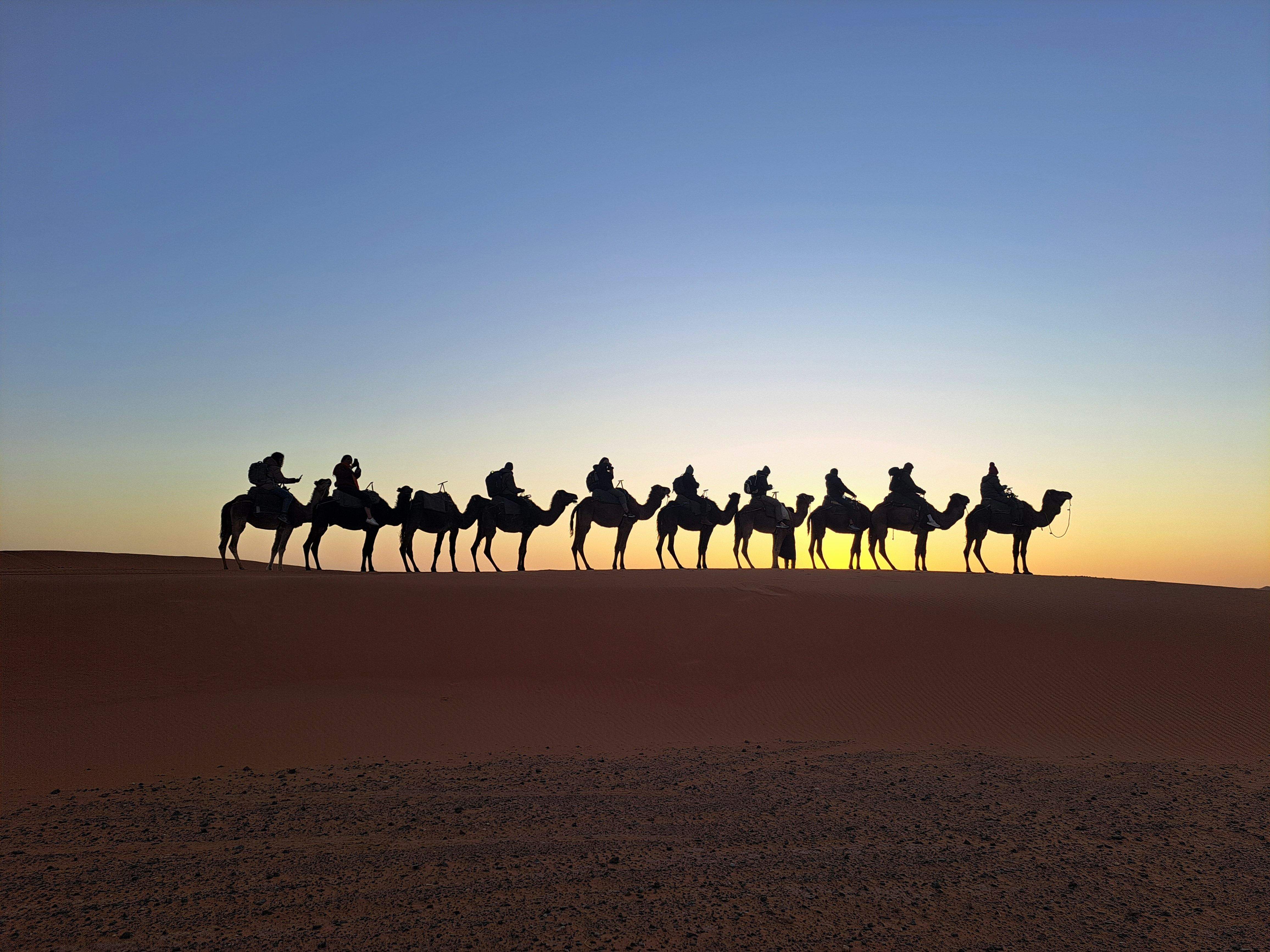 Les mil i una nits · Merzouga, Marroc FOTO: Ruben Gari