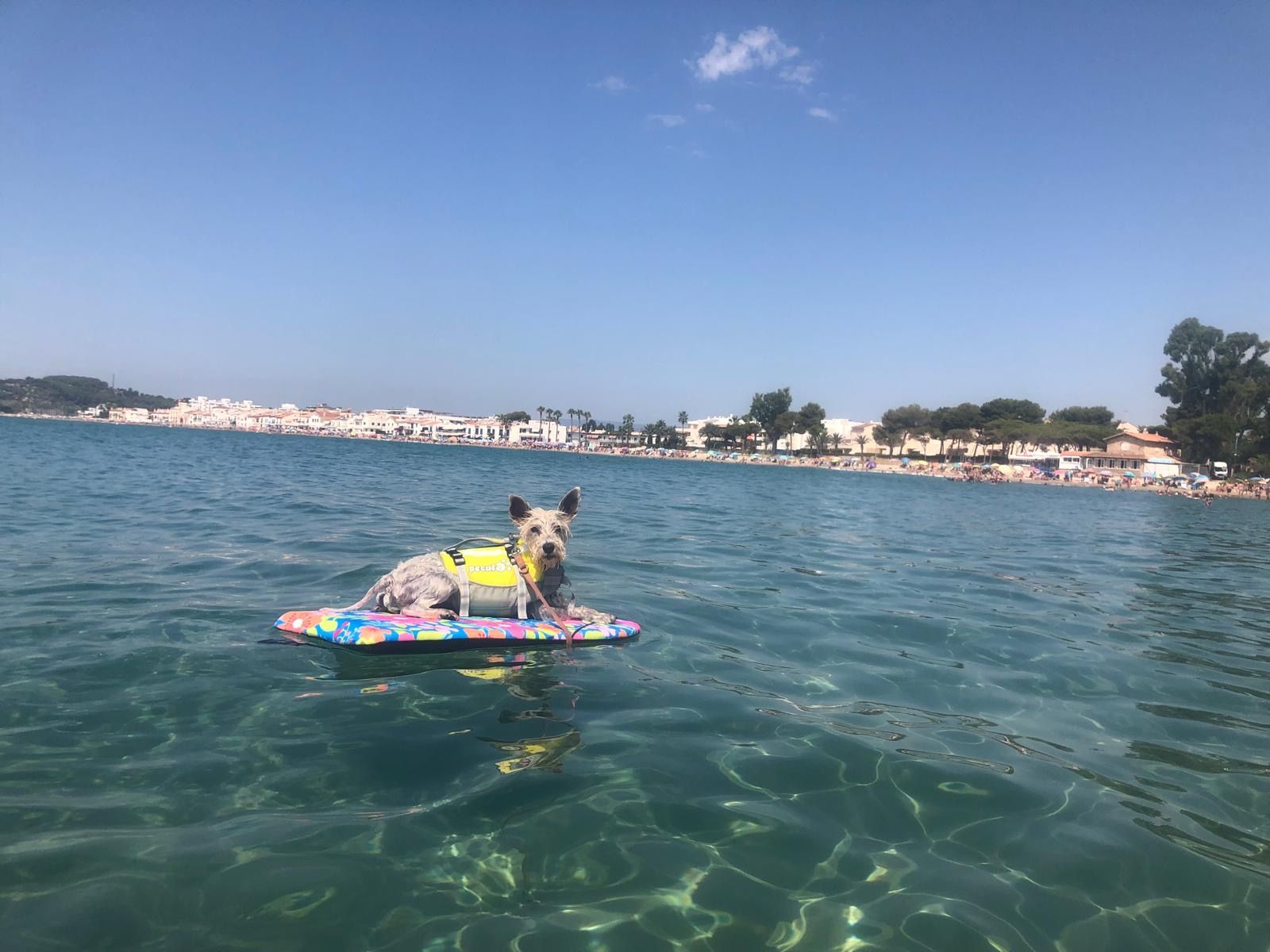 Boira surfera · Altafulla, banys romans FOTO: Montse Olsina Costa