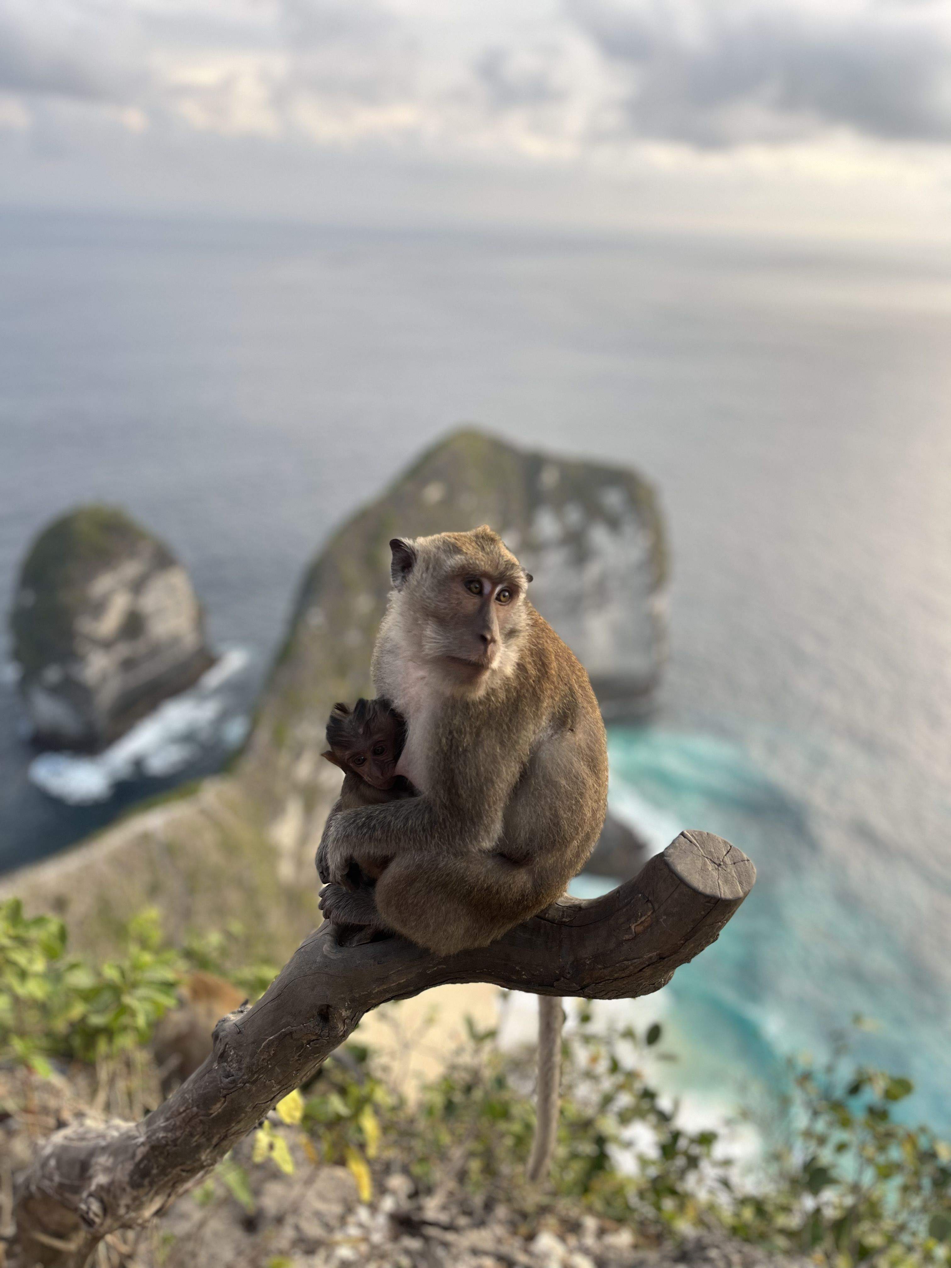 Mare i fill · Kelingking Beach, Nusa Penida, Indonesia FOTO: Maria Fraile Serrano