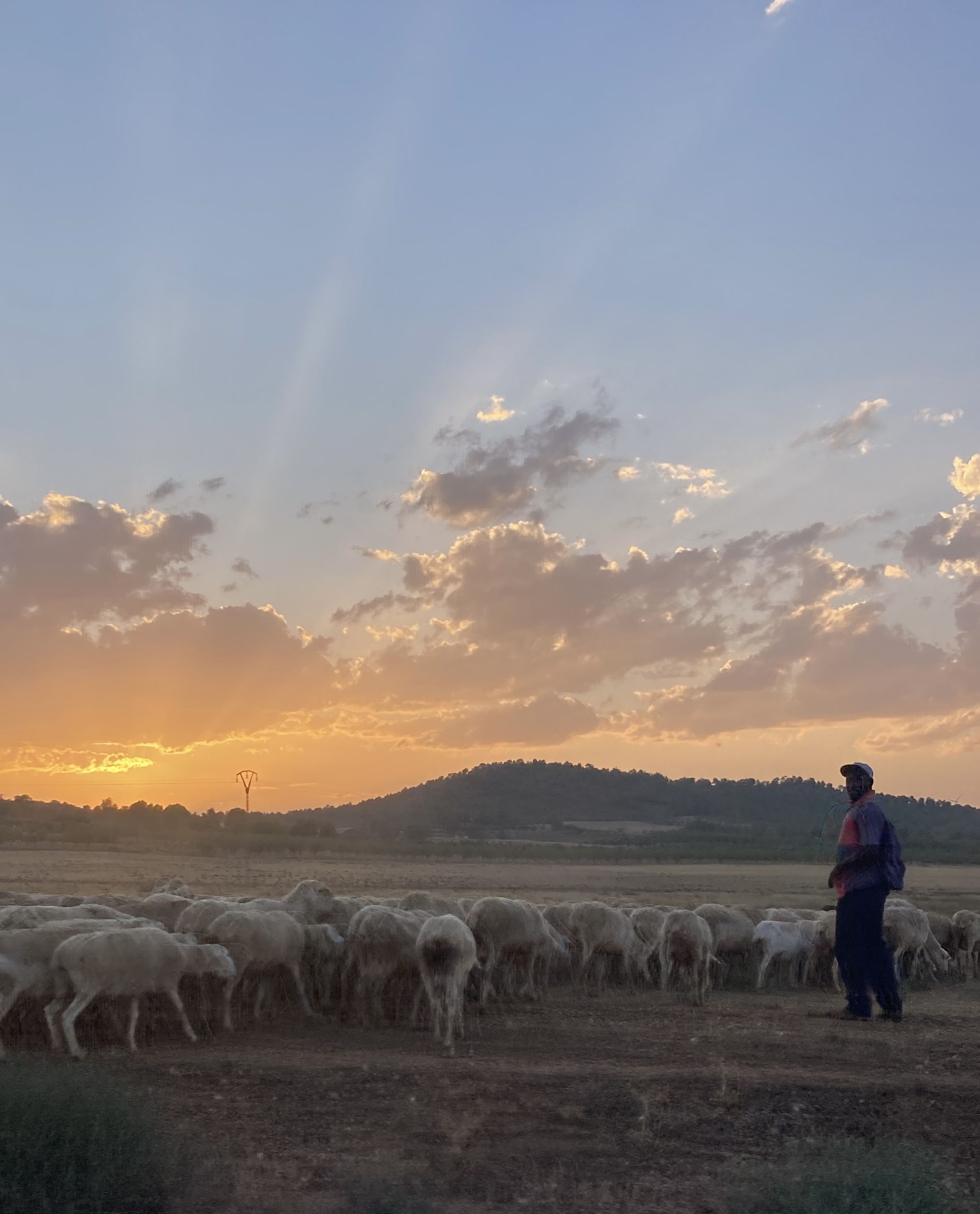 El Bon Pastor · Albacete FOTO: Maite Díaz Sánchez