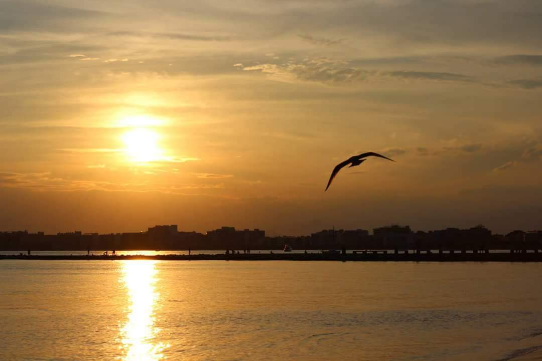 Capvespre · Roses, Girona FOTO: Neus Villar Garcia