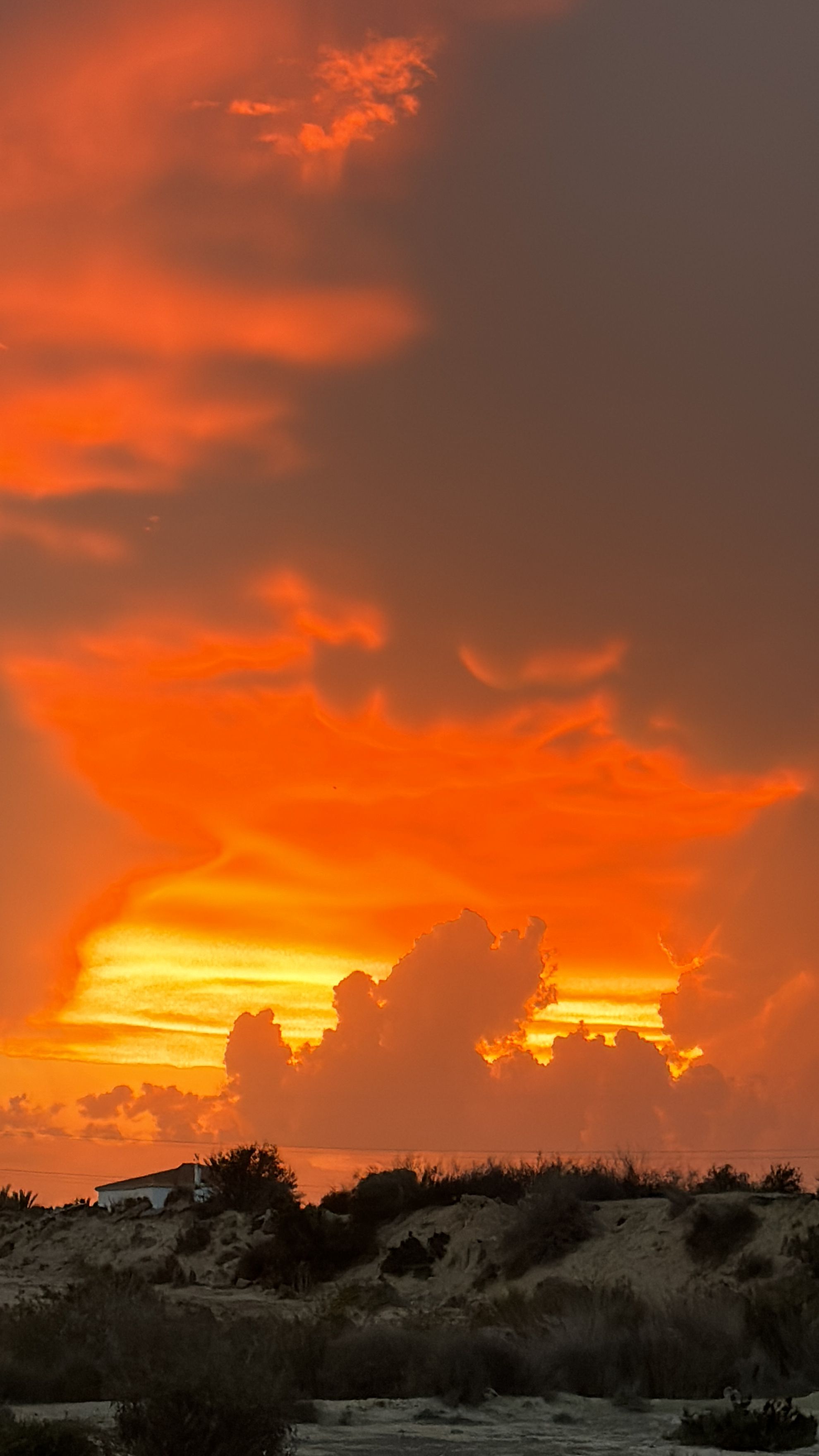 Quan el es crema · Almeria FOTO: Carme Barbero Alonso