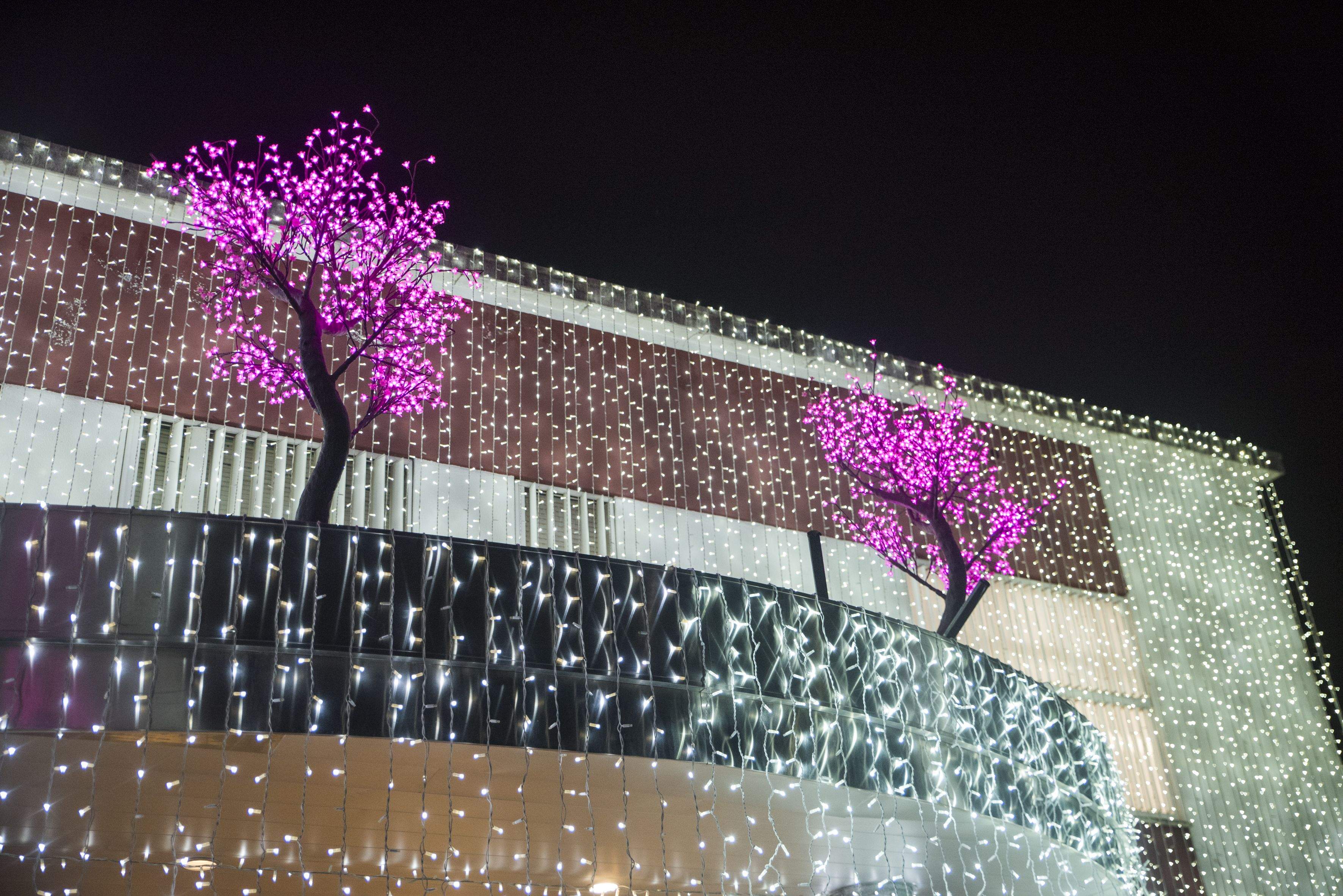 Encesa de llums de Nadal a Catalonia Fundació Creactiva. FOTO: Bernat Millet