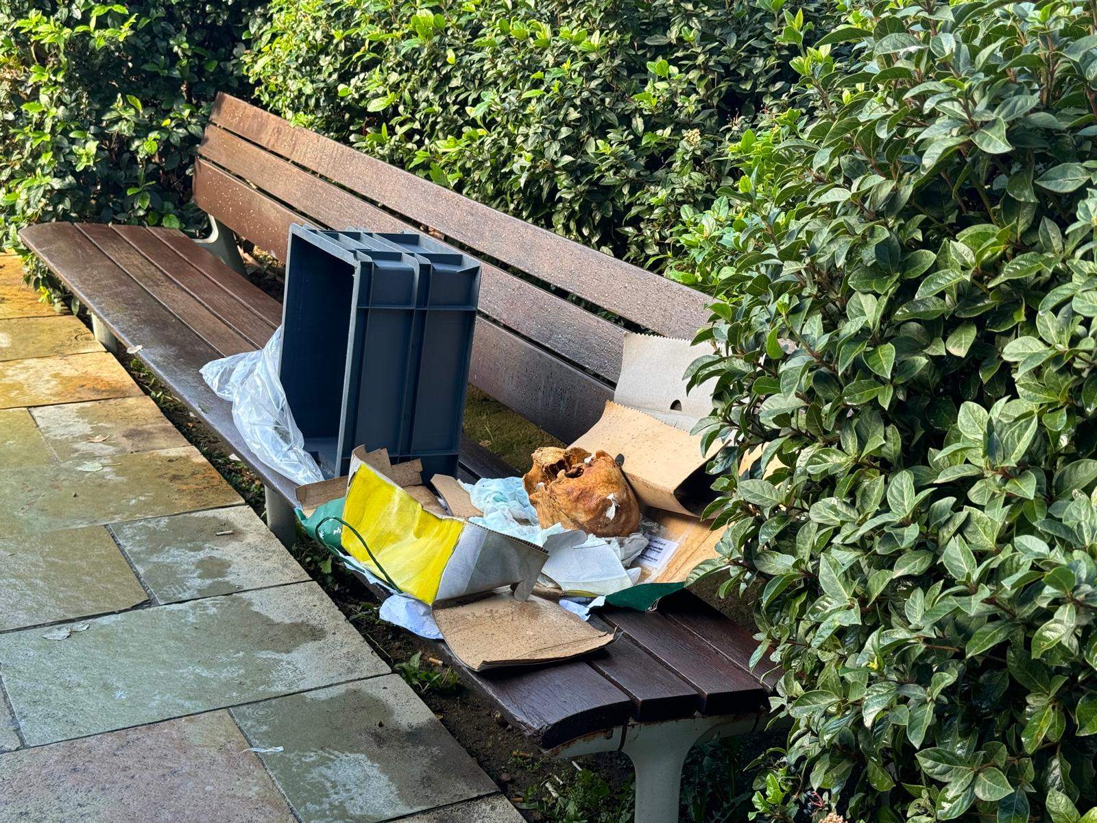 El crani s'ha trobat aquest matí FOTO: Víctor Marbà (TOT Sant Cugat)