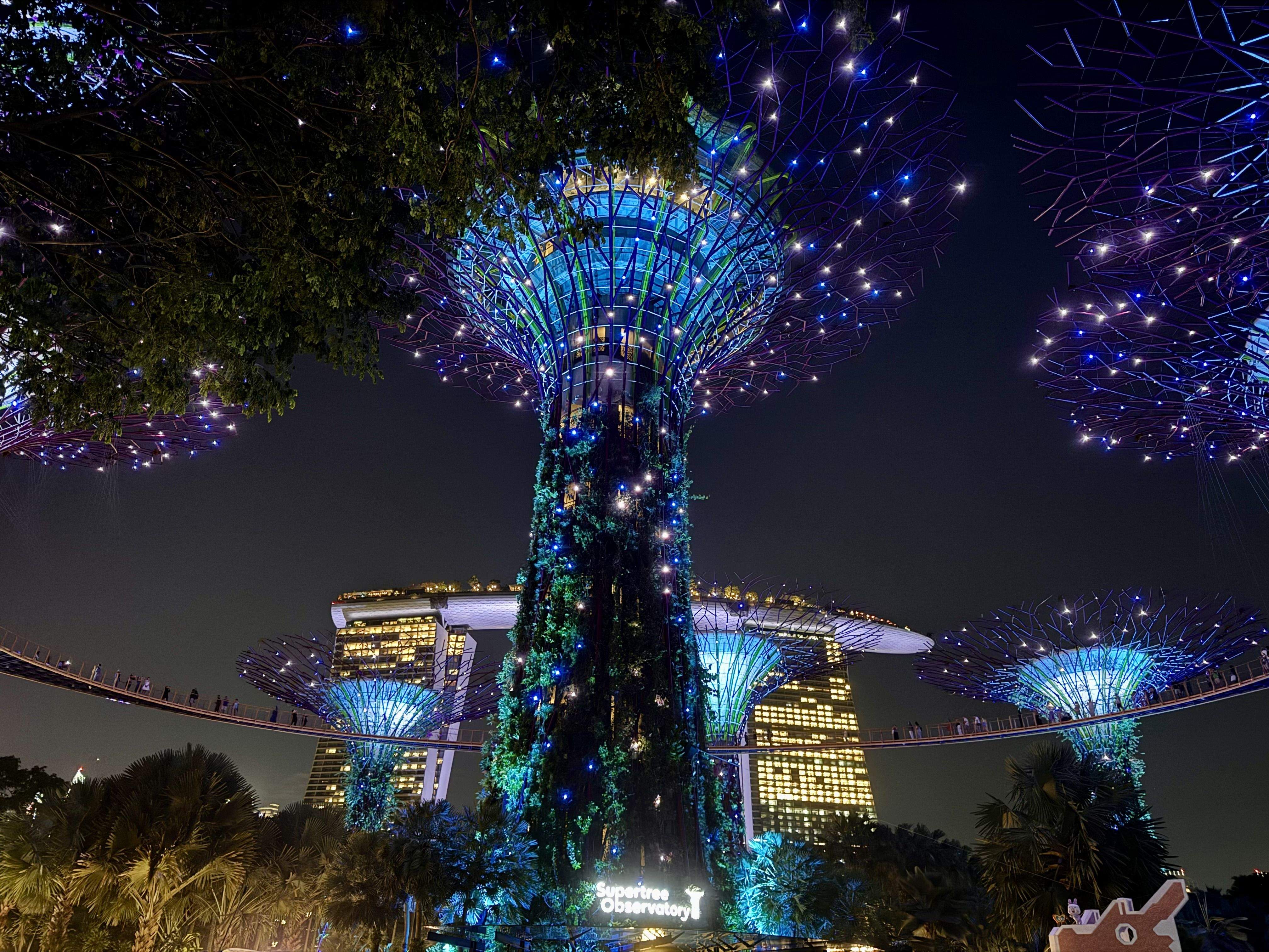 Llums · Singapur FOTO: Marc Garcia Rodriguez 