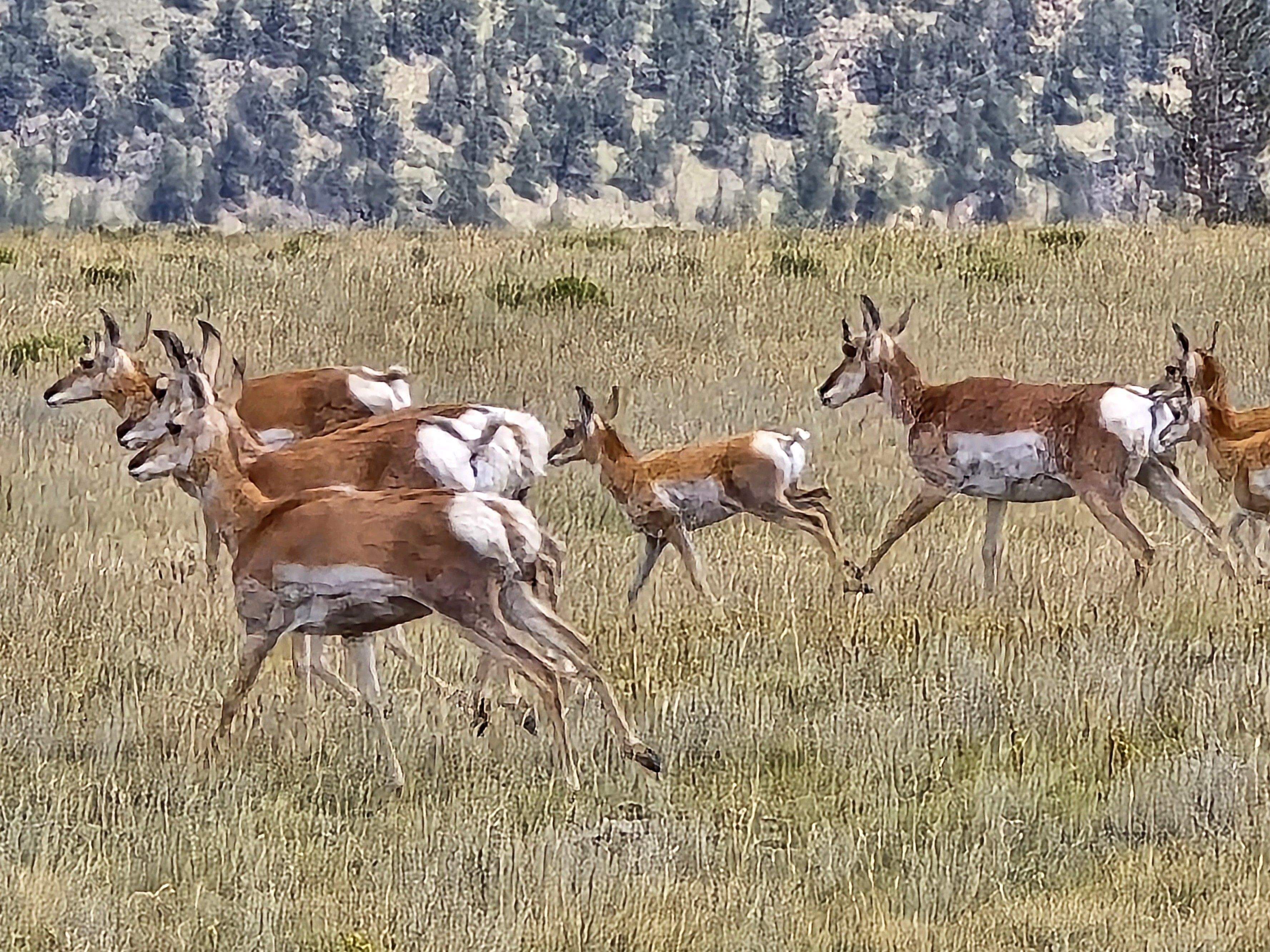 Rocky Mountain Rhythm · Colorado EEUU FOTO: Jamie Wallace 