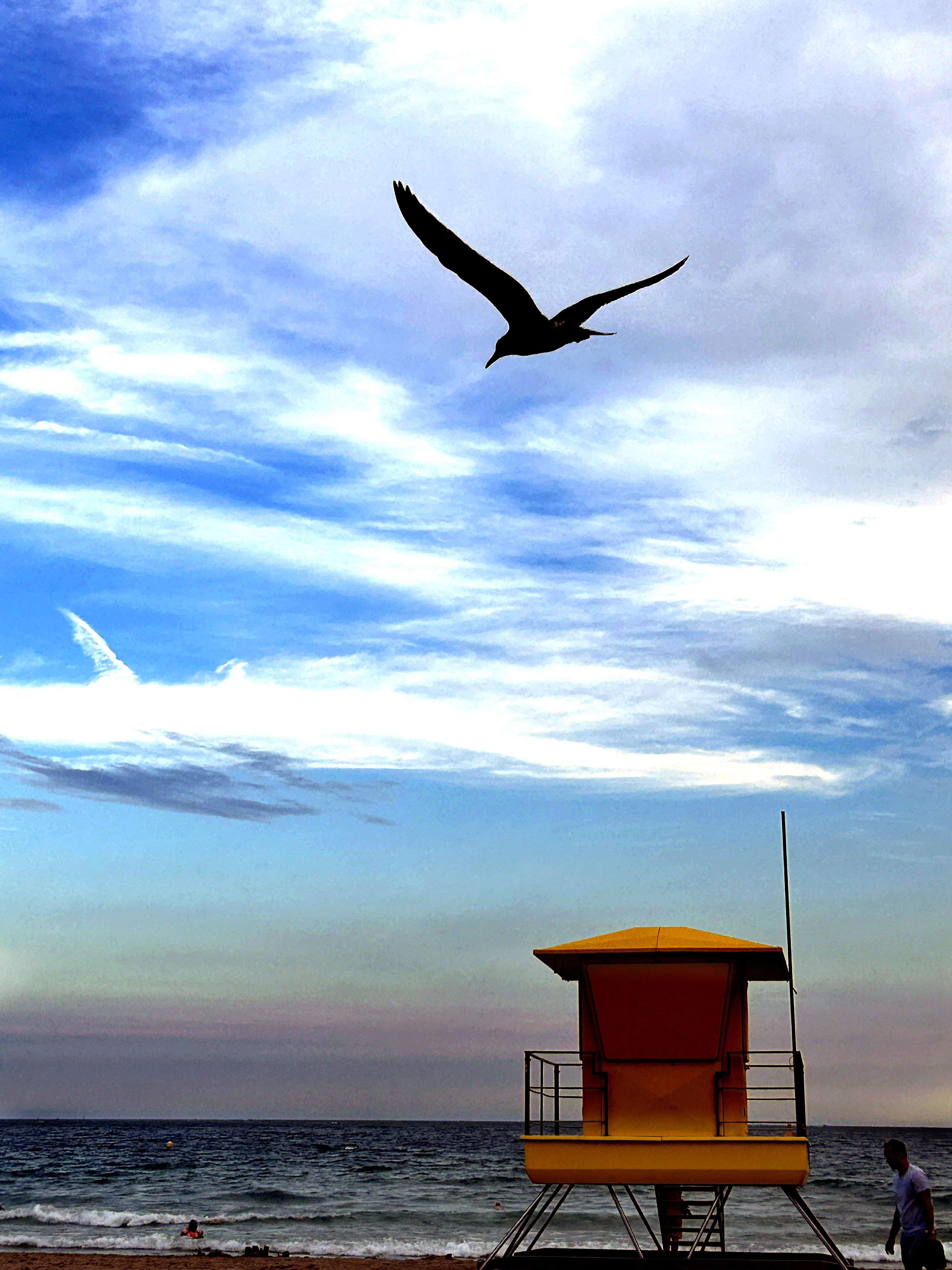 Un capvespre a l`Empordà · Roses (Alt Empordà) FOTO: Maria Ferrera Cairó