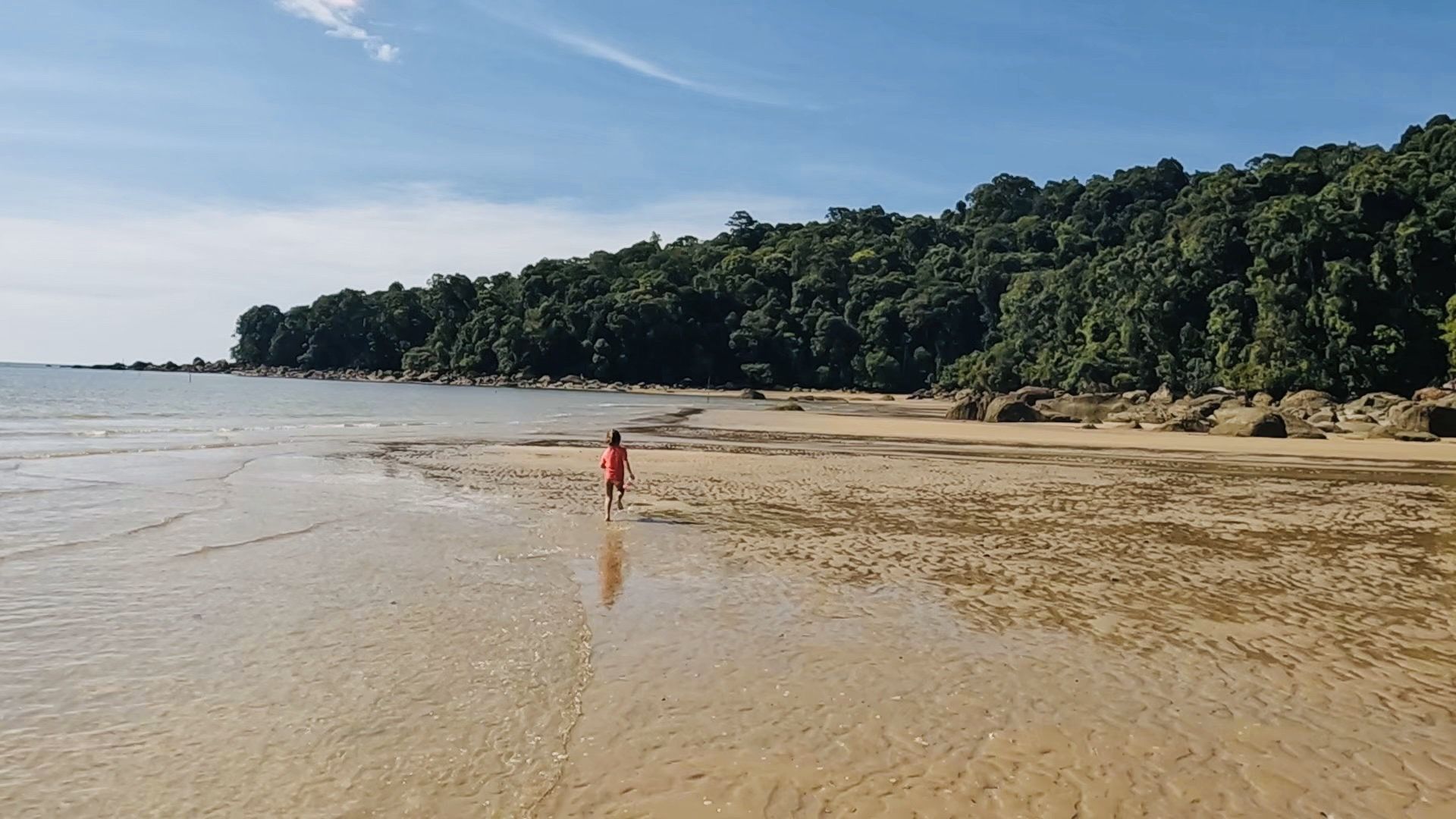 La Jana descobrint la selva · Permai, Borneo, Malàisia FOTO: Gemma Torres Santasusagna