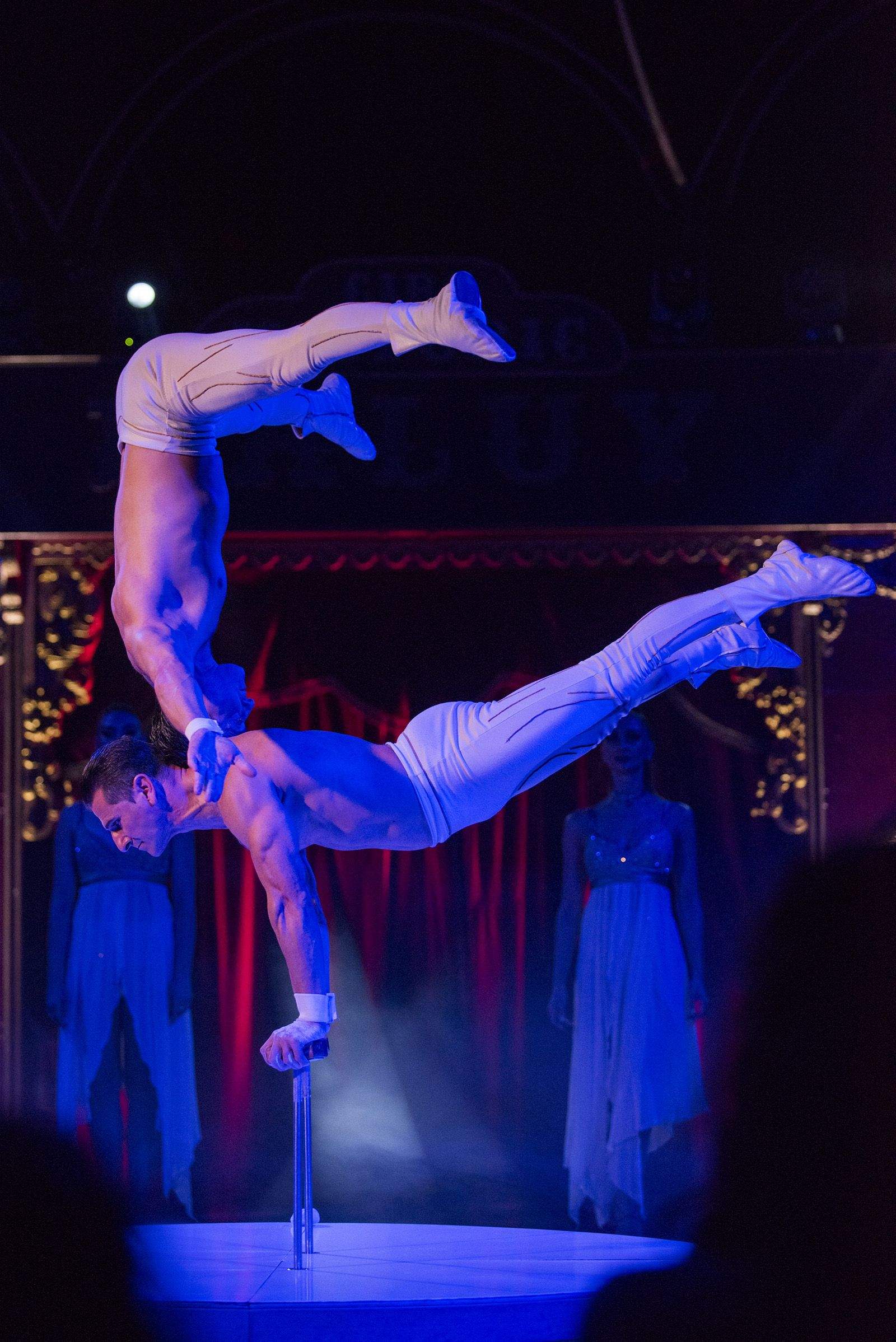 Circ Raluy. FOTO: Bernat Millet.