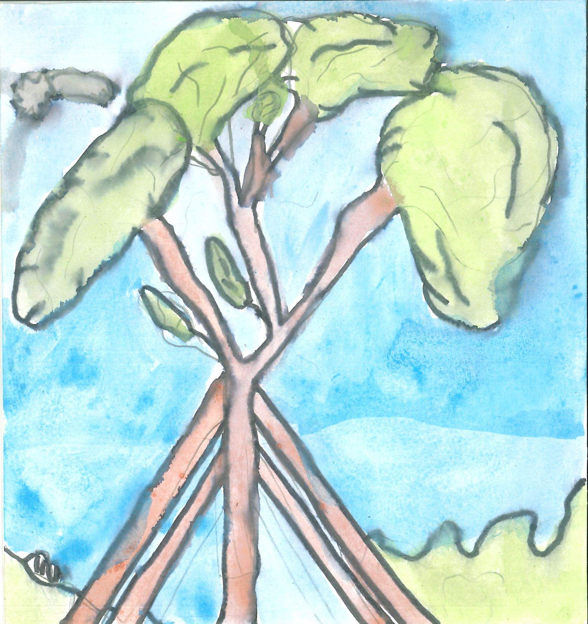 Postal de l'Escola Thau Sant Cugat del concurs del TOT Sant Cugat 