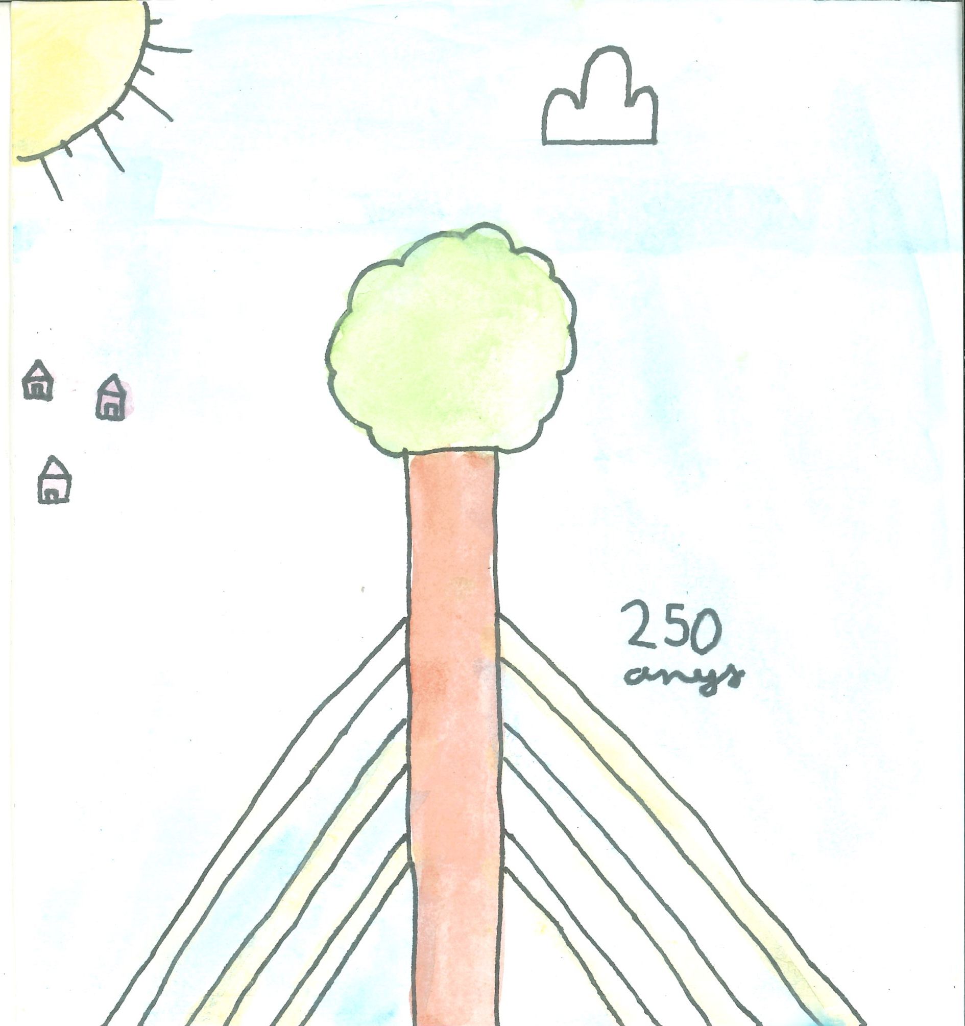 Postal de l'Escola Thau Sant Cugat del concurs del TOT Sant Cugat 