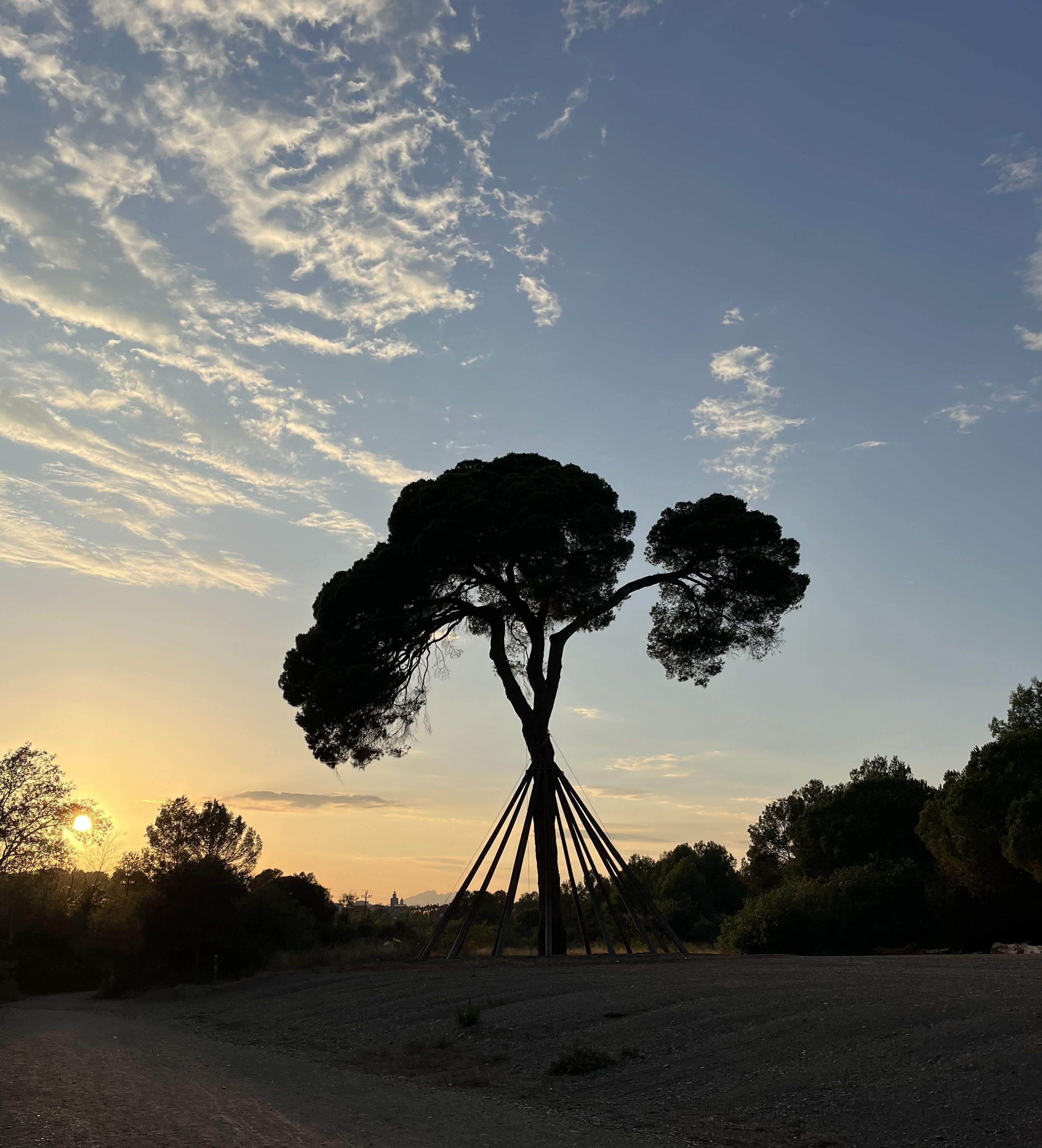 Atardecer en agosto · Pi d'en Xandri FOTO: Genoveva Colella