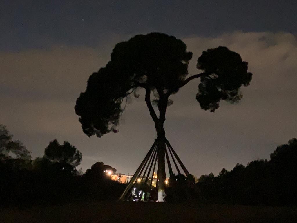 Excursió nocturna · Pi d'en Xandri FOTO: Vania Vidal diaz