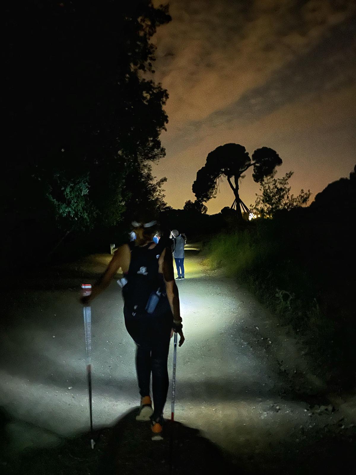 La nit d’en Xandri · Pi d'en Xandri FOTO: Argelia Garcia Fernánde