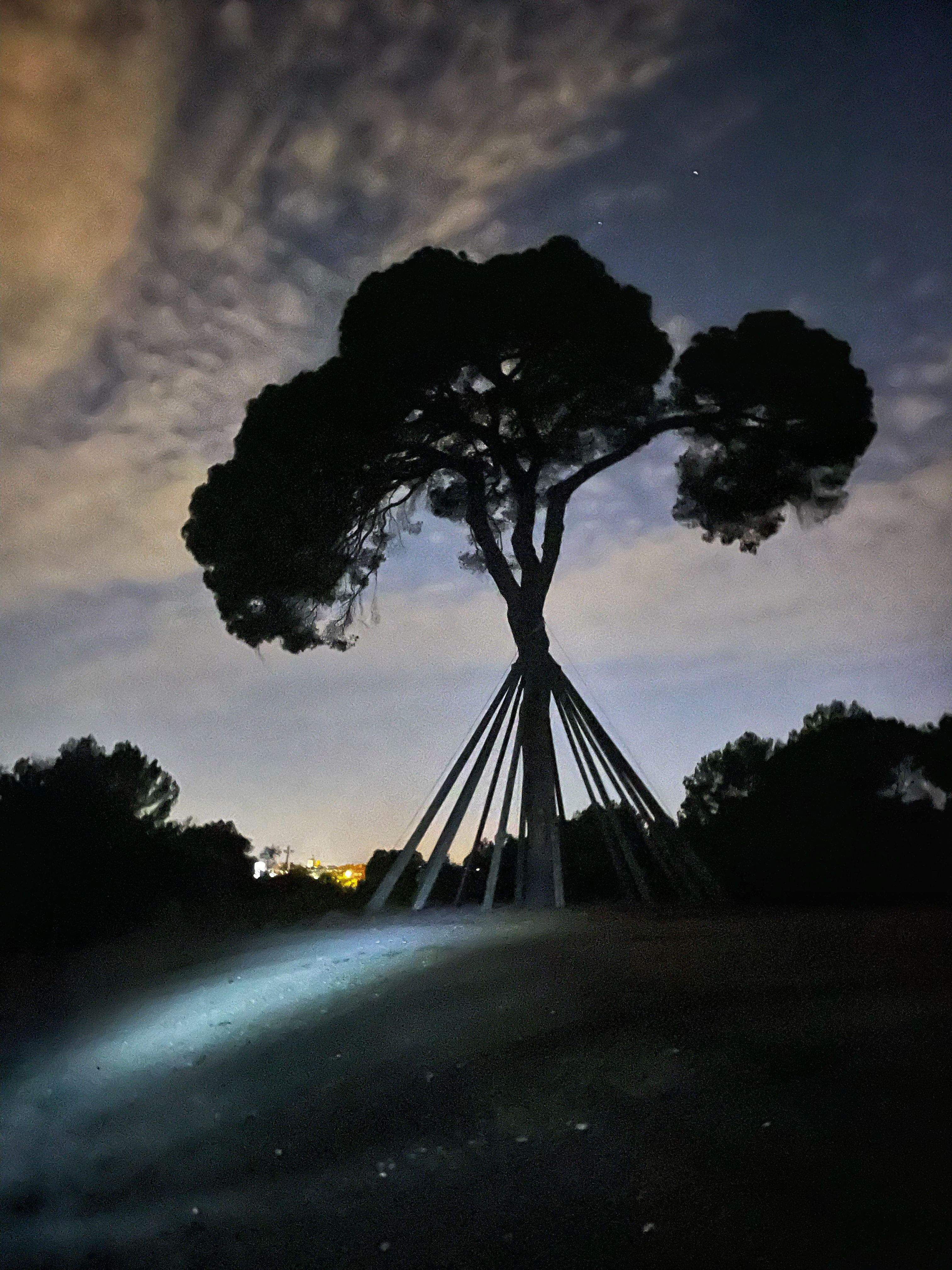 Una nit d’estiu del Pi de’n Xandri · Pi d'en Xandri FOTO: Jaume Claramunt Company