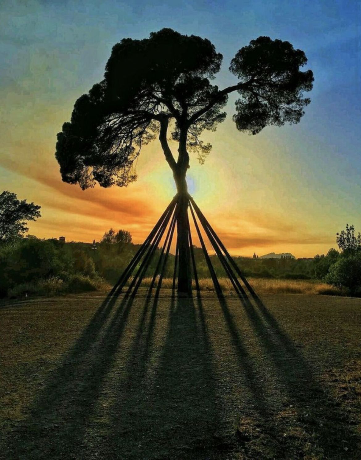 Testimoni del temps · Pi d'en Xandri FOTO: Mario Pardo Rami