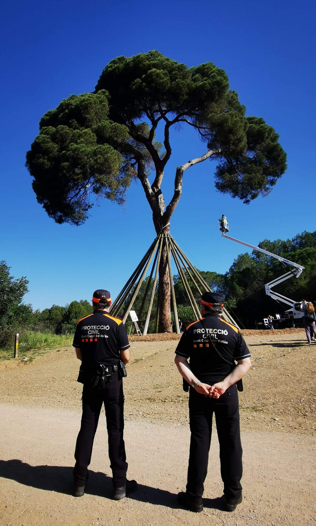 Un alcalde d'alçada · Pi d'en Xandri FOTO: Associació de Voluntaris de Protecció Civil de Sant Cugat del Vallès