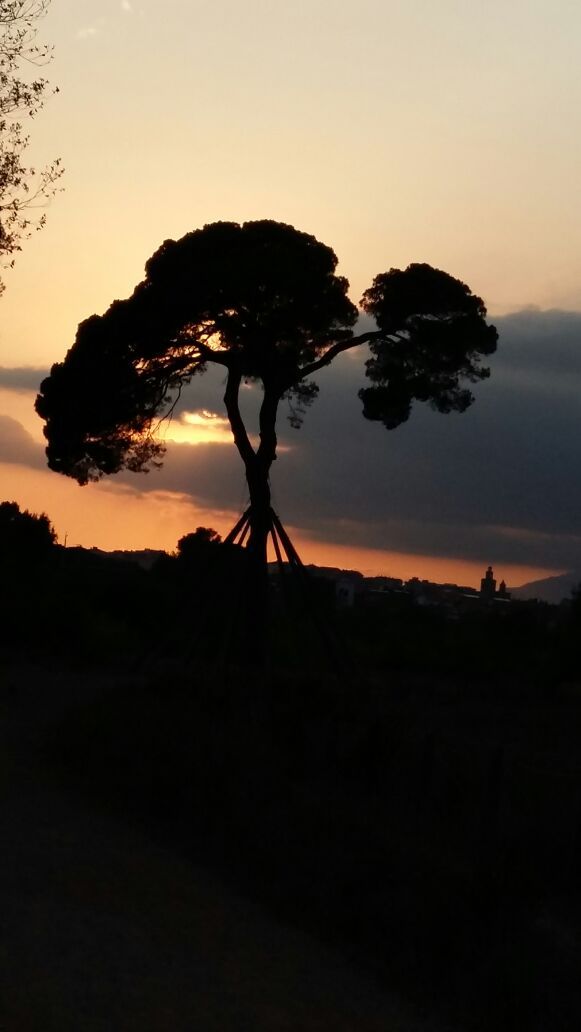 Records · Pi d'en Xandri FOTO: Sylvia Mascheroni