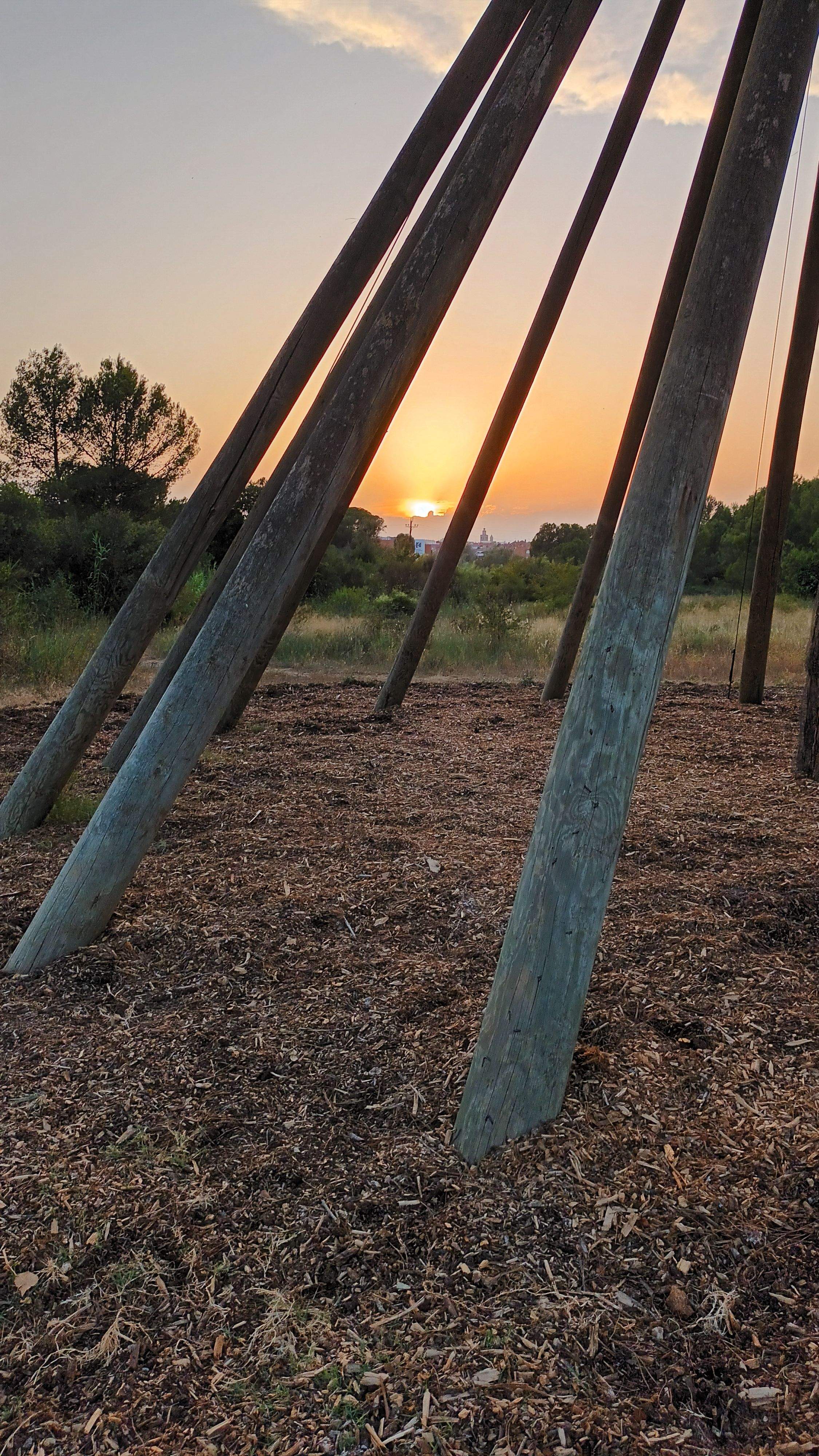 Suports · Pi d'en Xandri FOTO: Toni Gòrriz Olalla