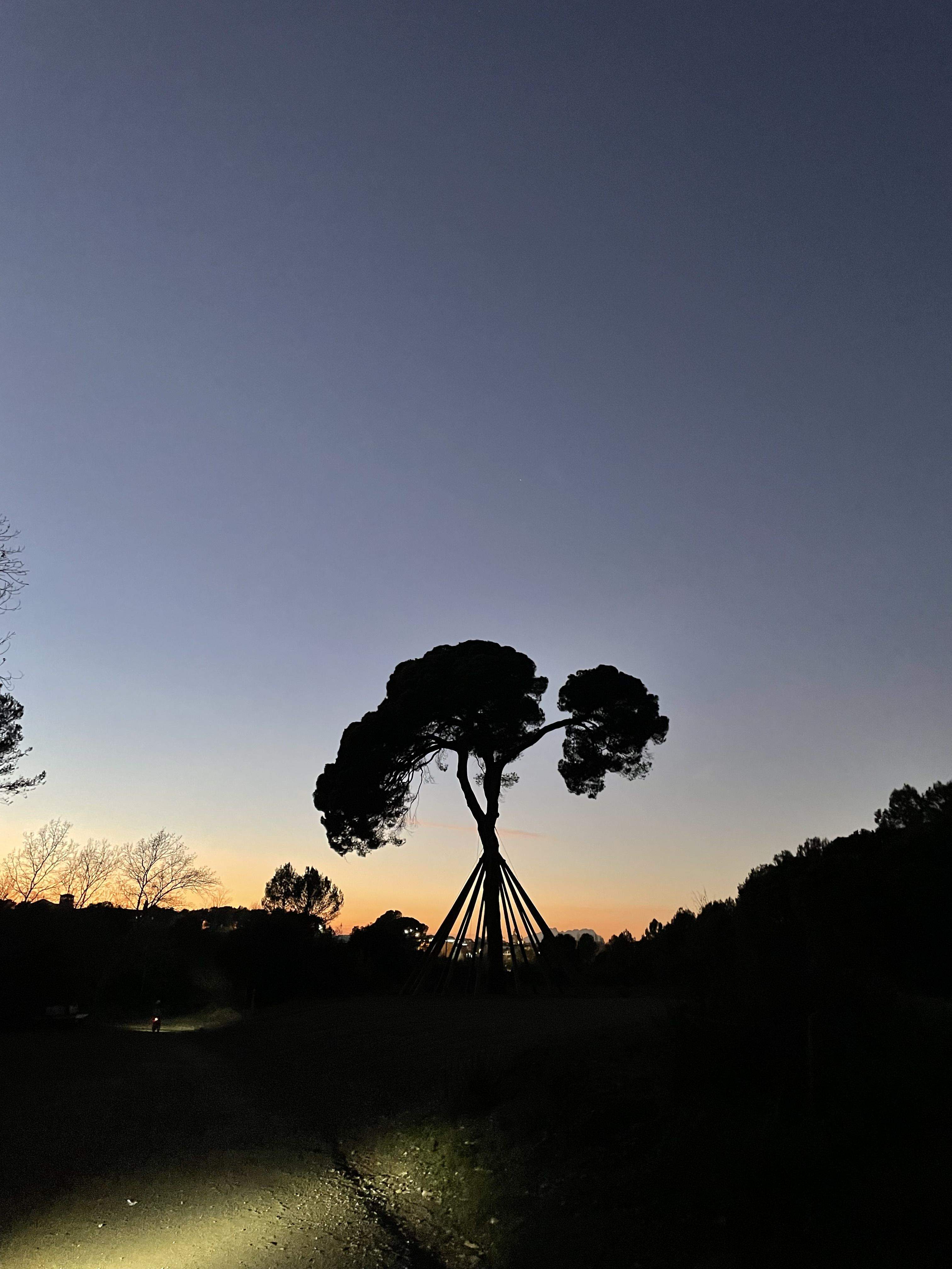 Vespre, tornada amb bici  · Pi d'en Xandri FOTO: Ferran Mestres Gonzalvo 