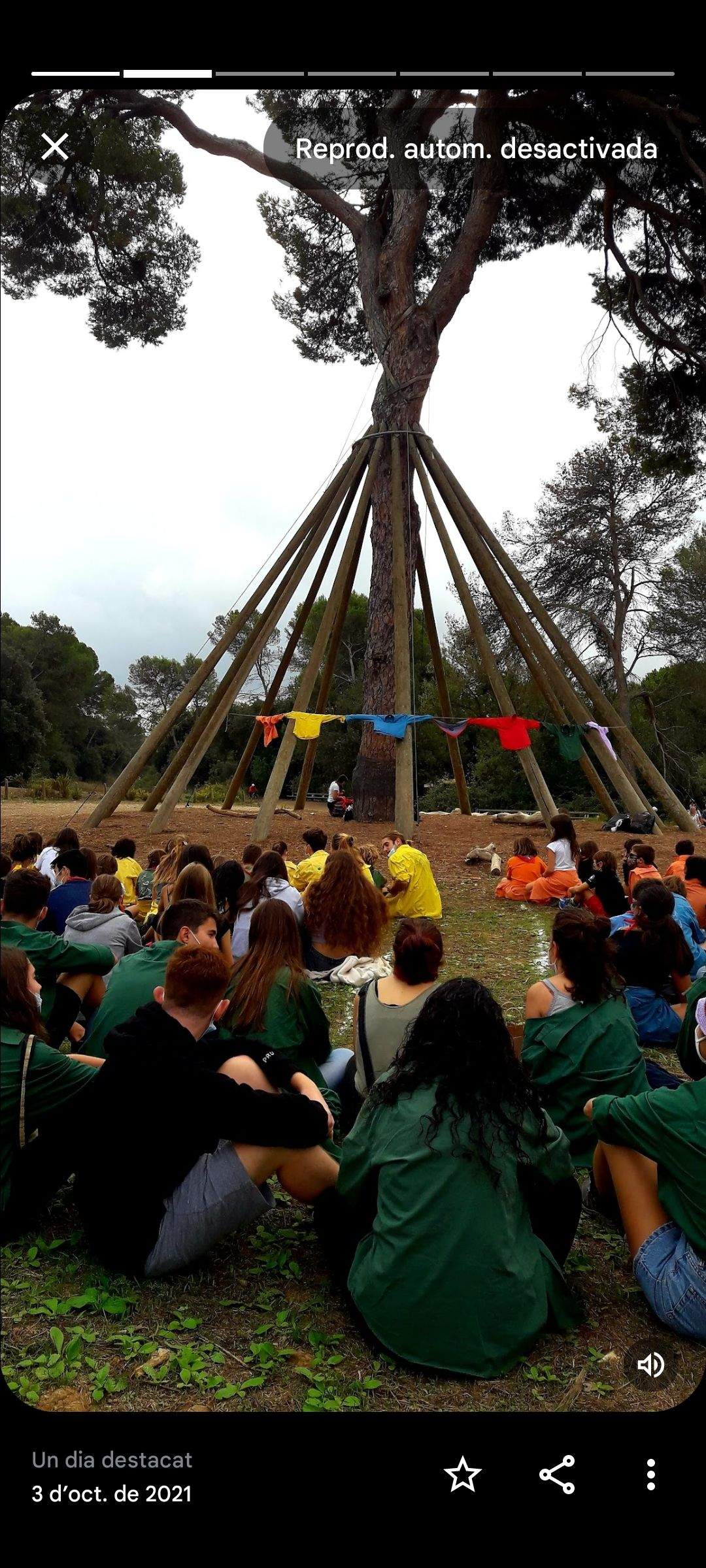 Trobada · Pi d'en Xandri FOTO: Àngels Carrió Fornells