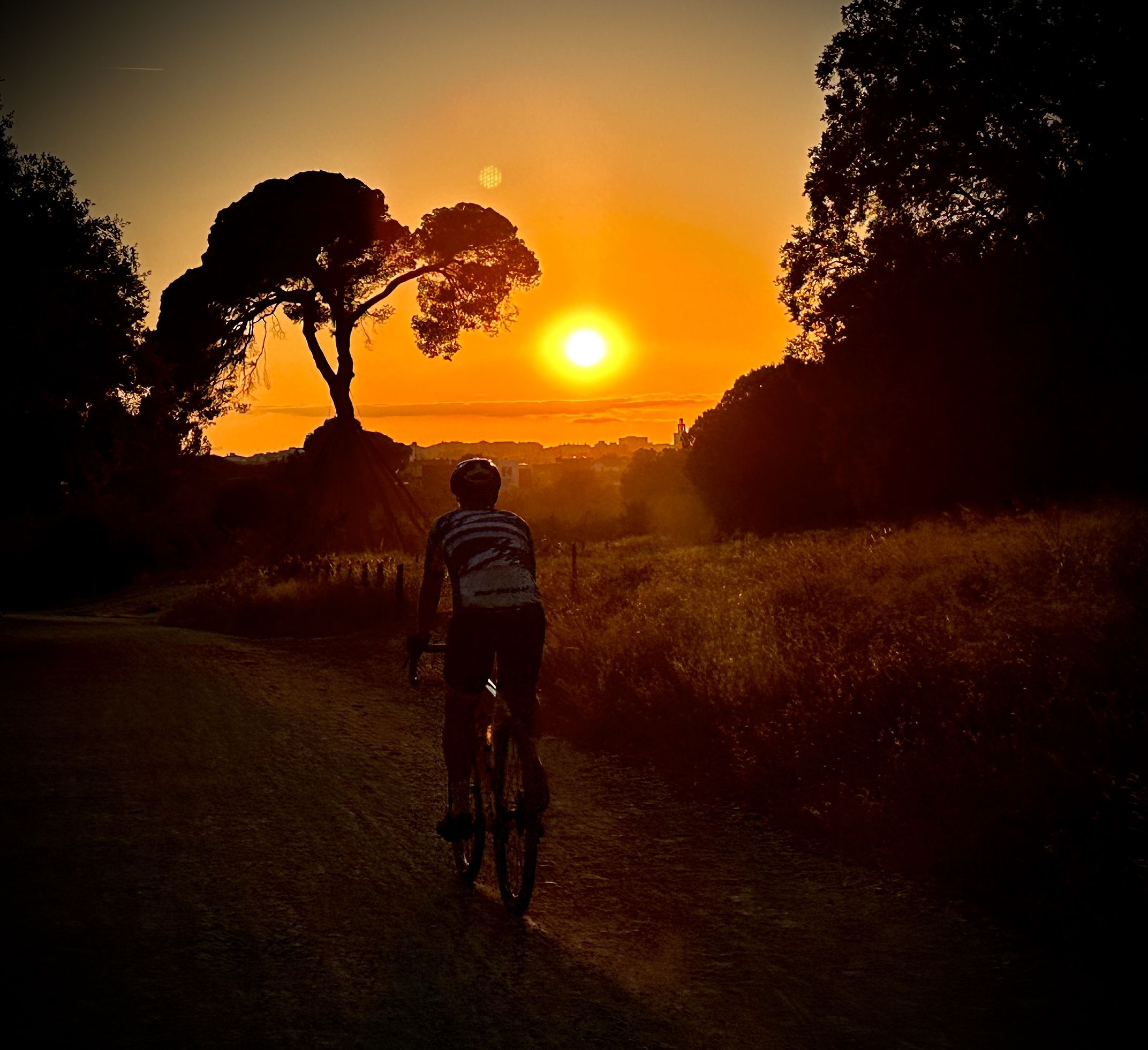 Sunset bike · Pi d'en Xandri FOTO: Javier García Rodríguez