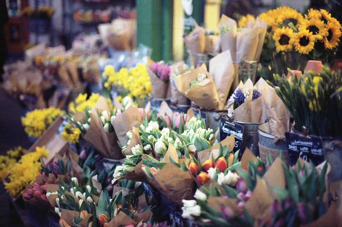Els colors de la vida · Le Castellet FOTO: Clara Sanuy Suz