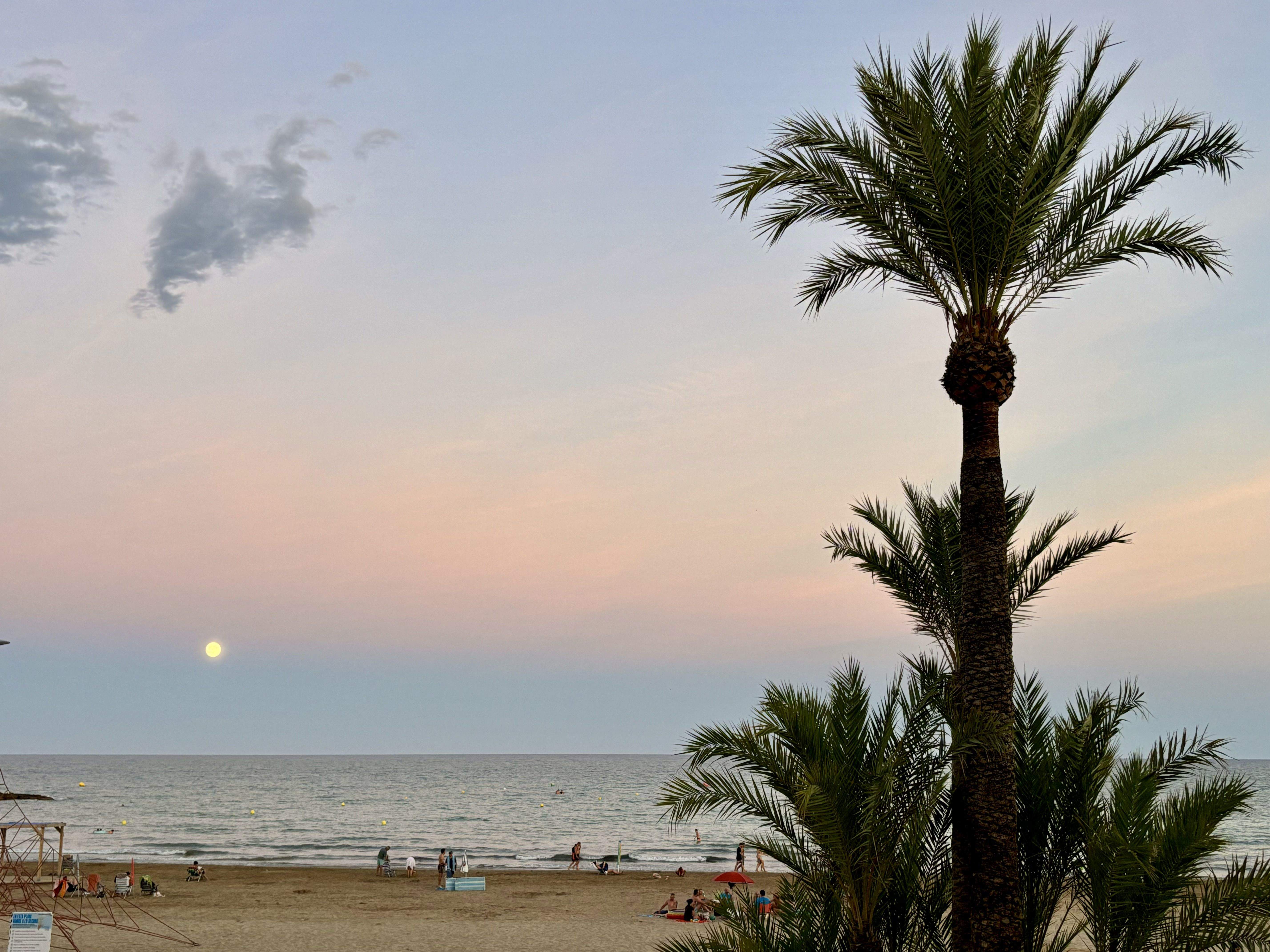 Capvespre a Torrenostra · Torrenostra FOTO: Laura Descarrega Mellado