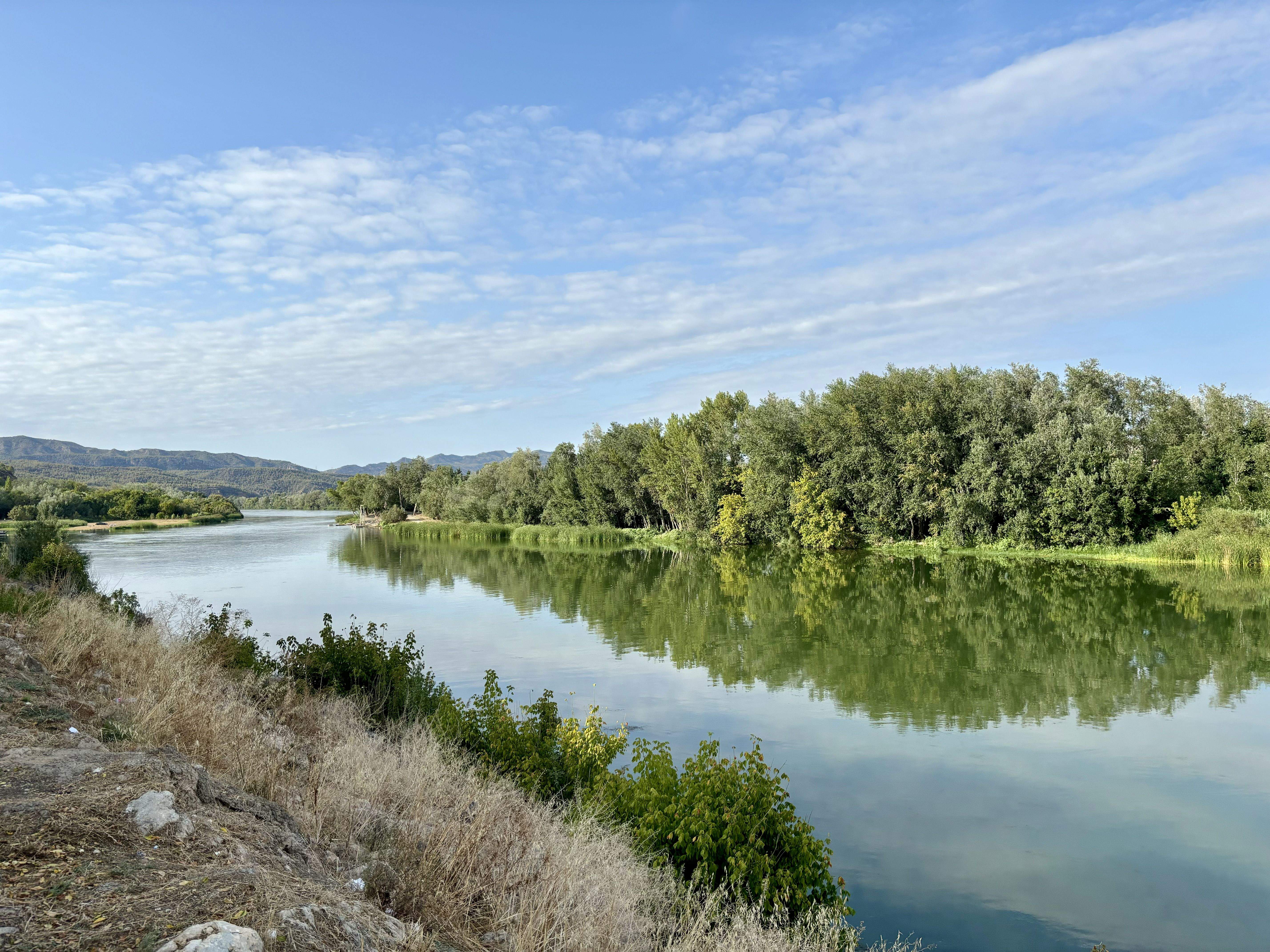 L’Aubadera · Móra d’Ebre FOTO: Laura Descarrega Mellado