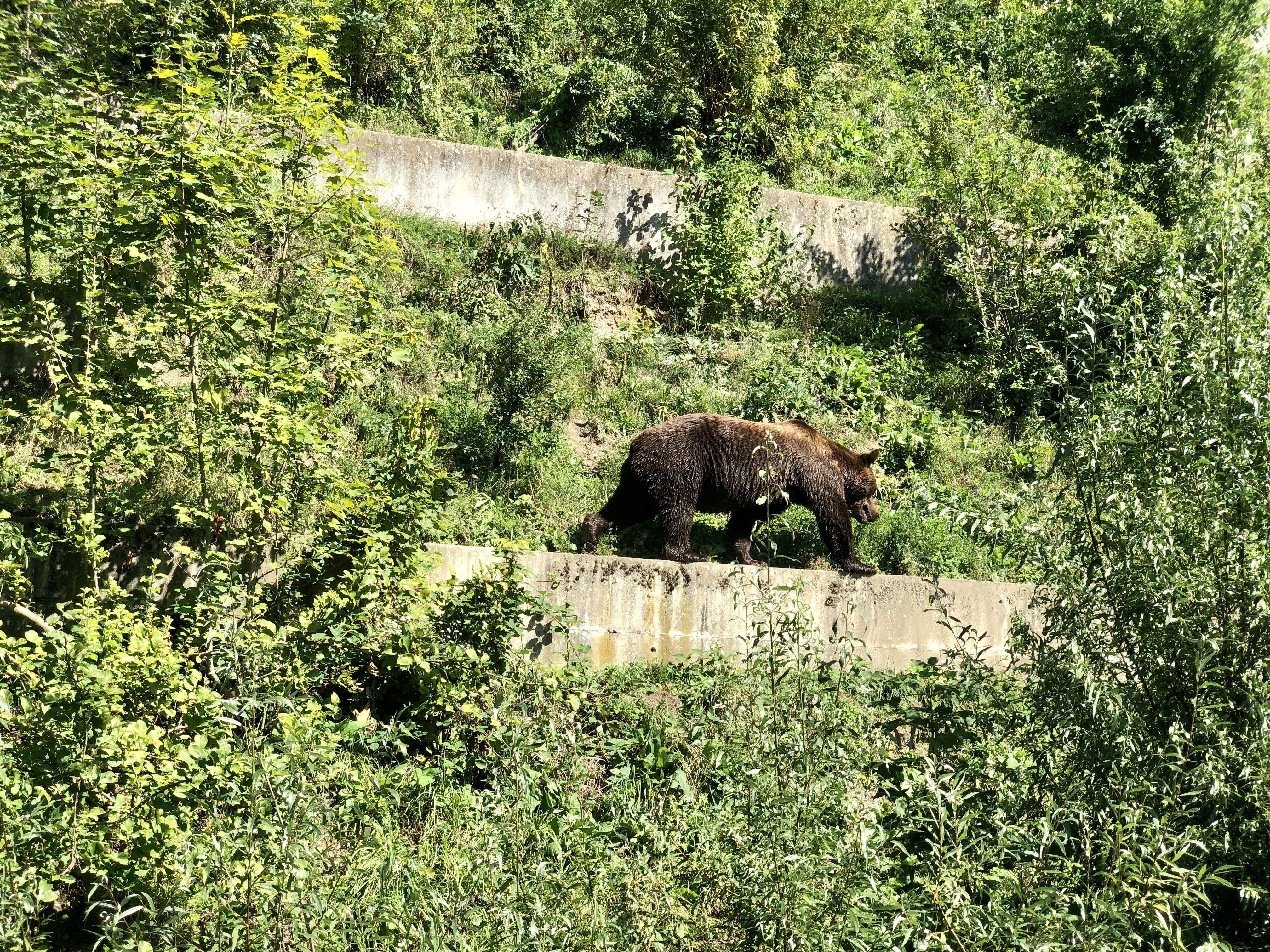 Passejant vora el riu · Berna FOTO: Anna Capdevila