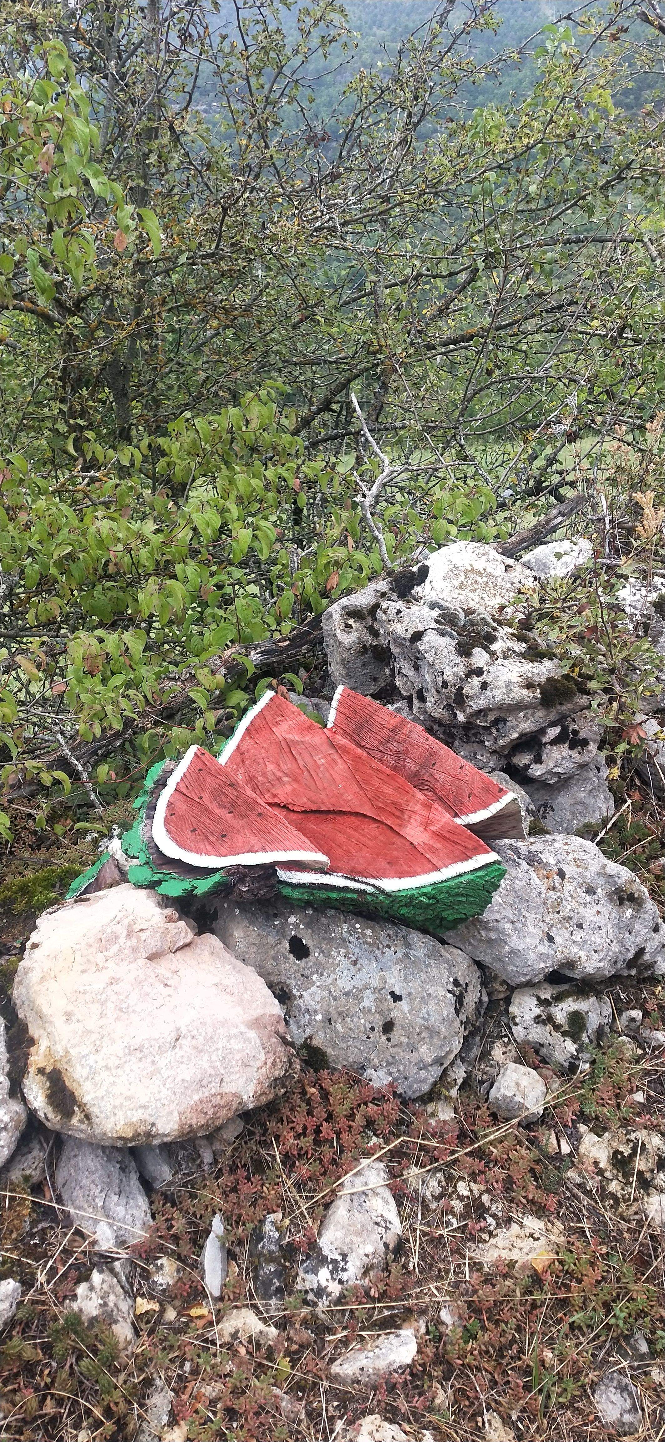 La Síndria · Tuixent FOTO: M. Carme Gracia Torres