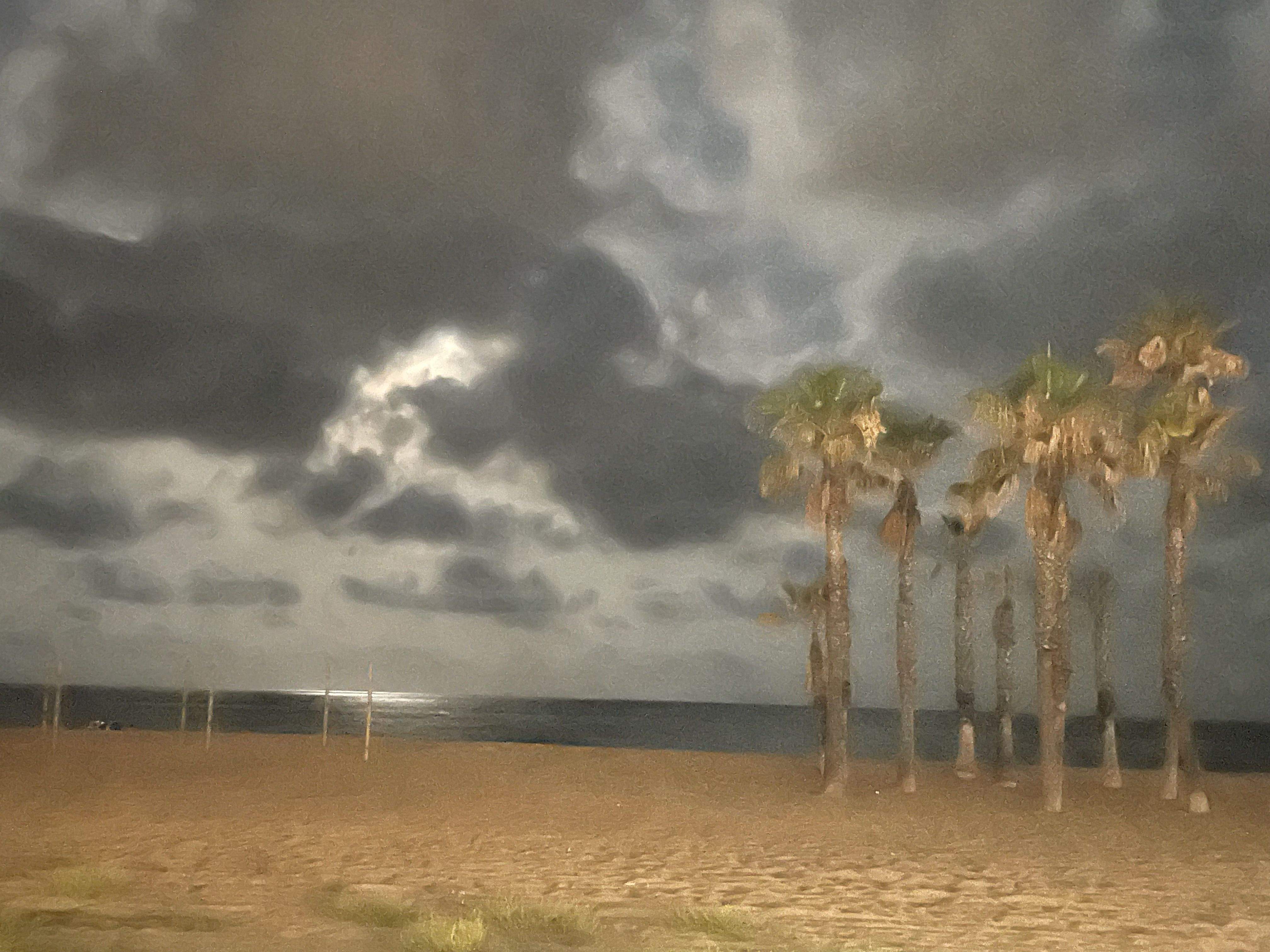 Nit daurada · Comarruga FOTO: Ramon Ribes Teira