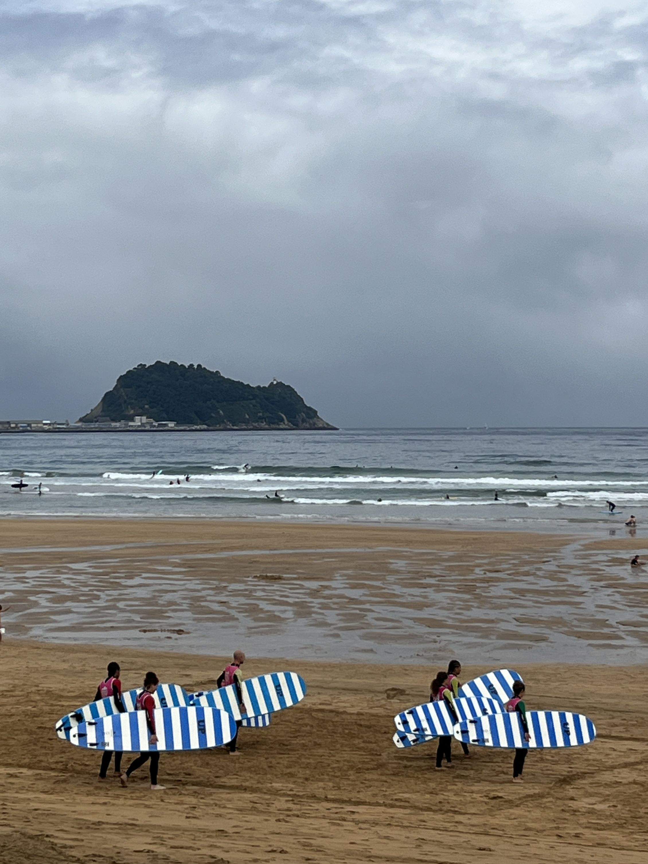 El Ratoli i les abelles blavea · Zarauz (Gipuzkoa) FOTO: César Garcia de Roda