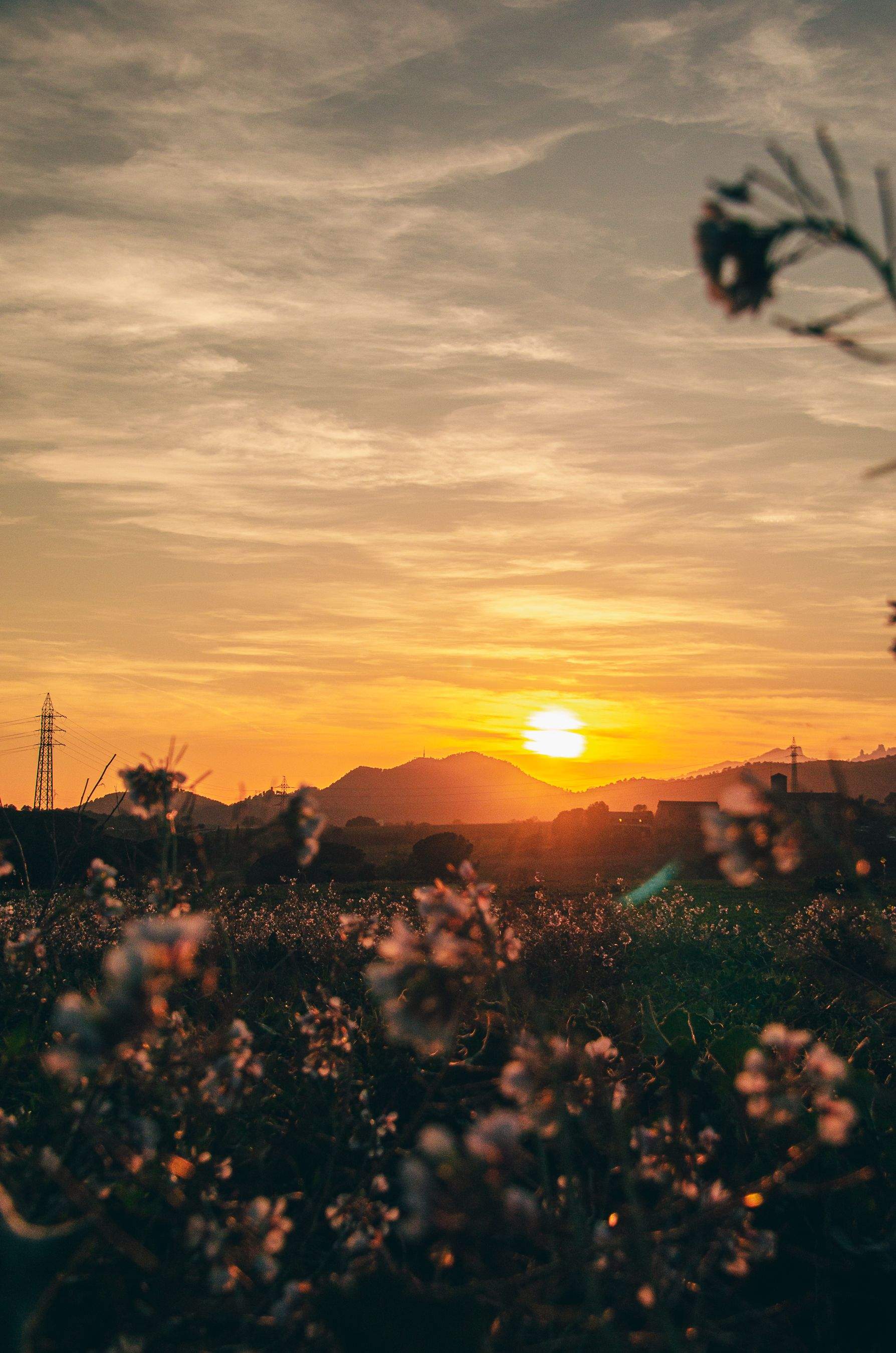 Ocaso · Camí dels Ametllers, Terrassa FOTO: Miqueas Ariel Doriggoni Díaz