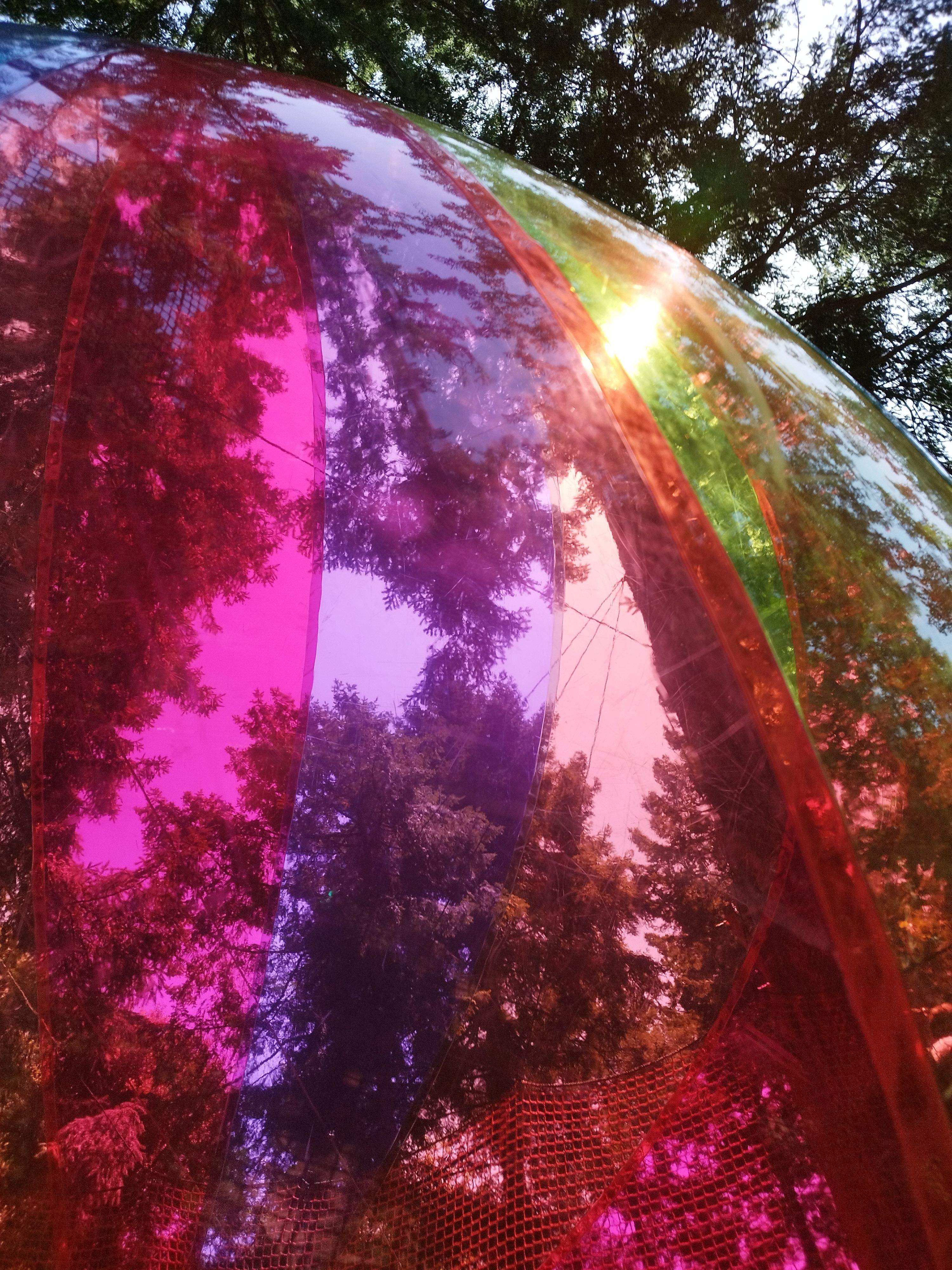 Colors al bosc · Arbúcies FOTO: Maria Soler Planas