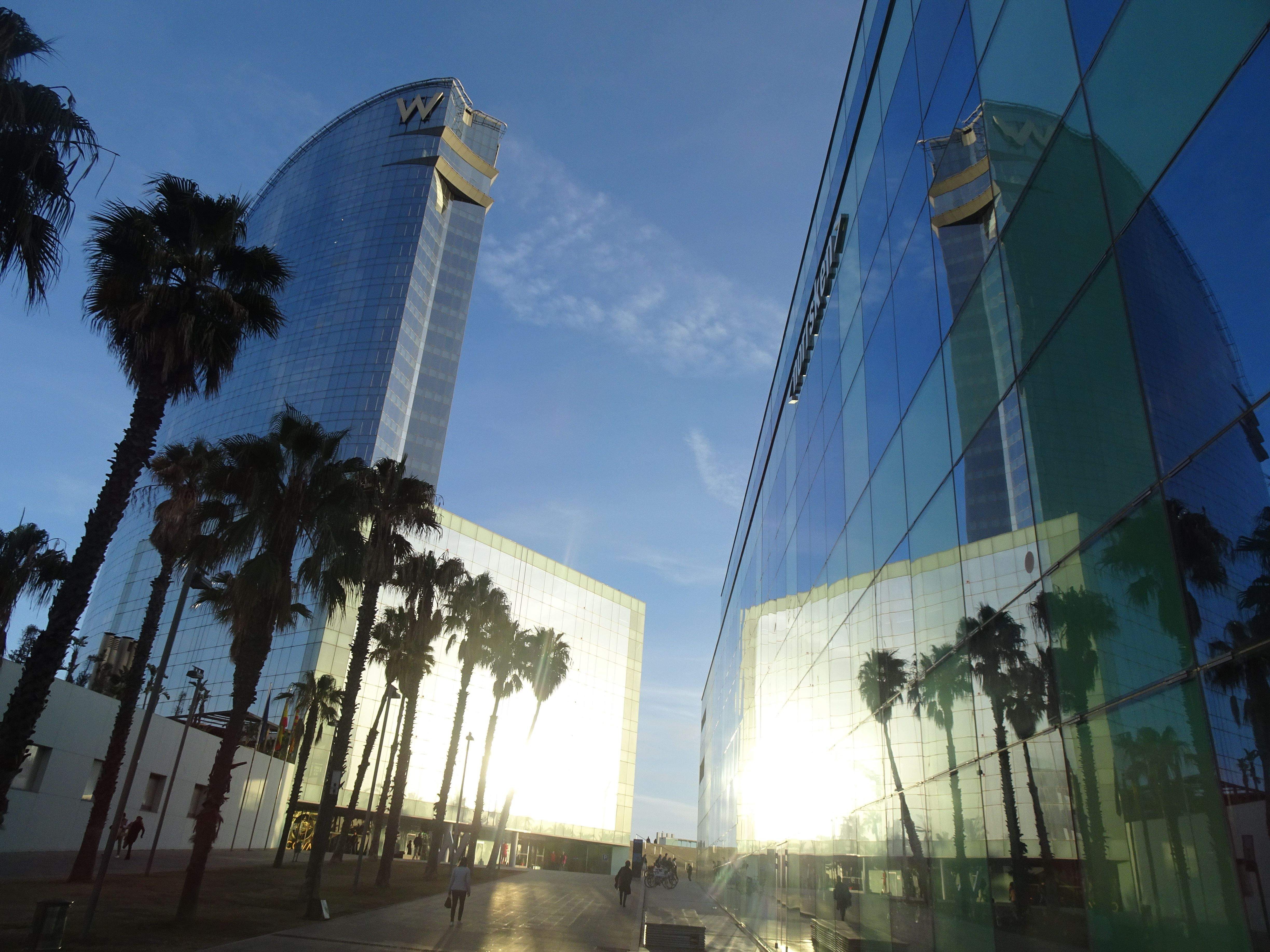 Reflexes · Barelona FOTO: Angels Gomez Gomez