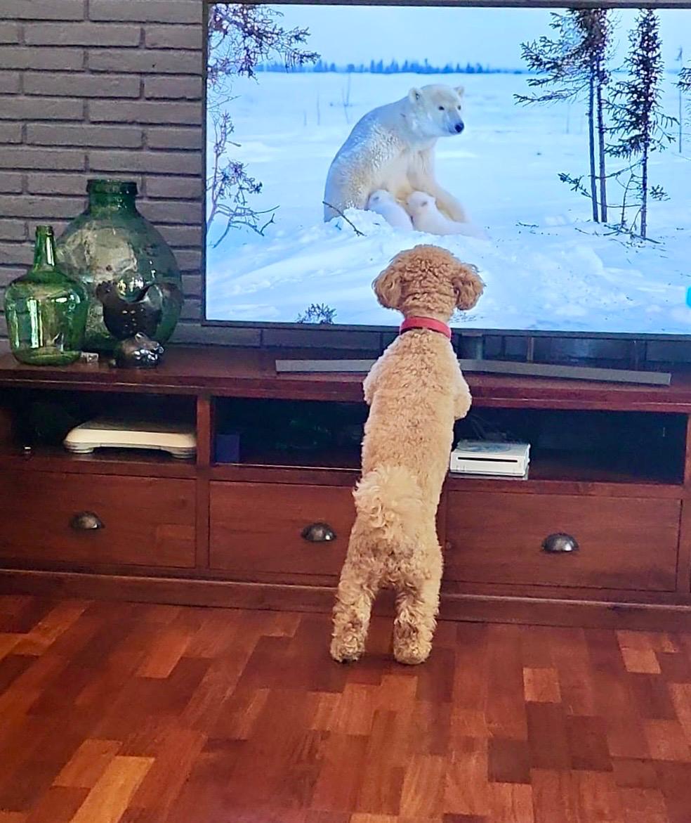 Trobada d’Amics · Mira Sol FOTO: Ferran Bernaus