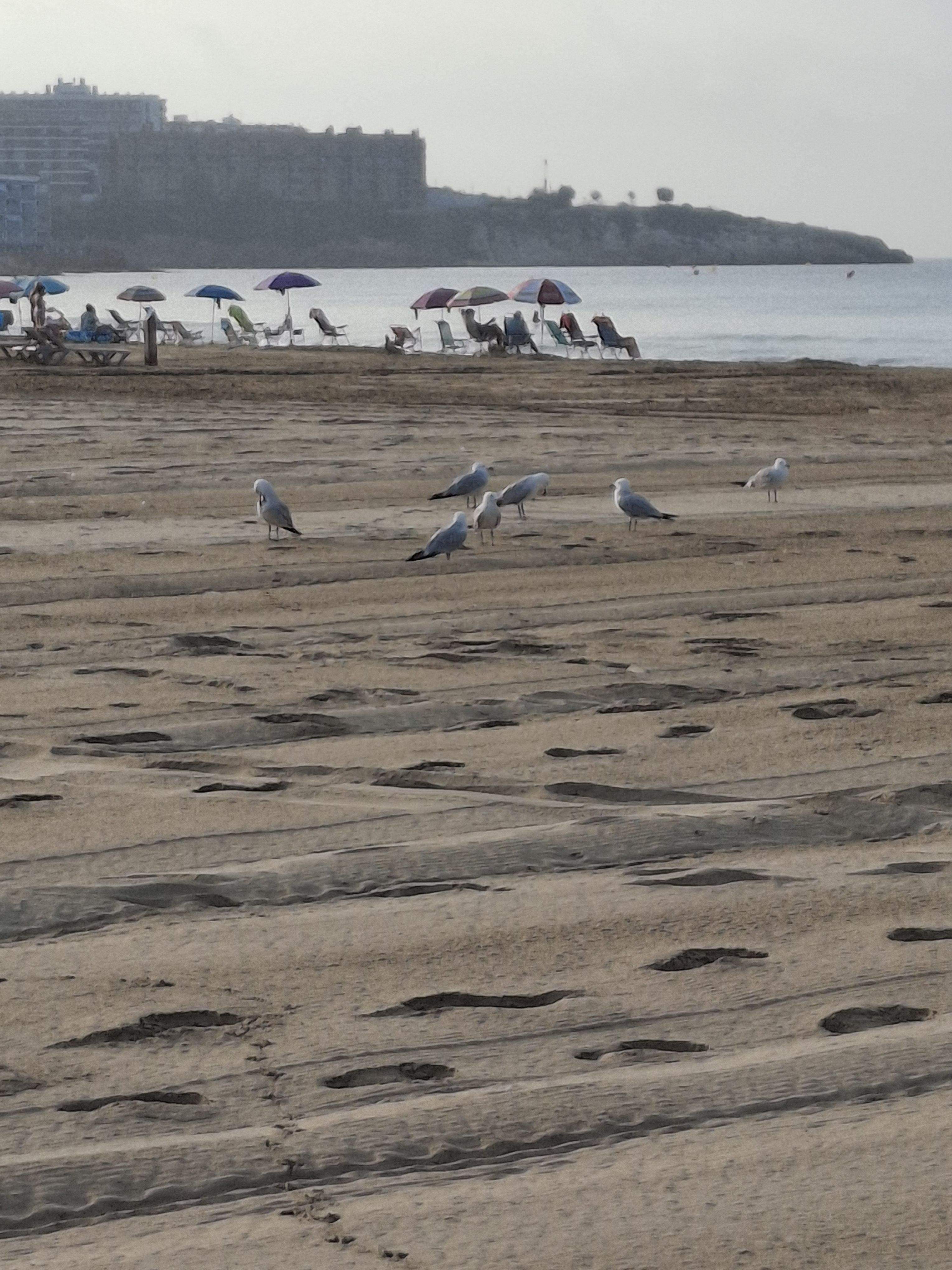 Mar i cel · Salou FOTO: Anna Pujol Latorre