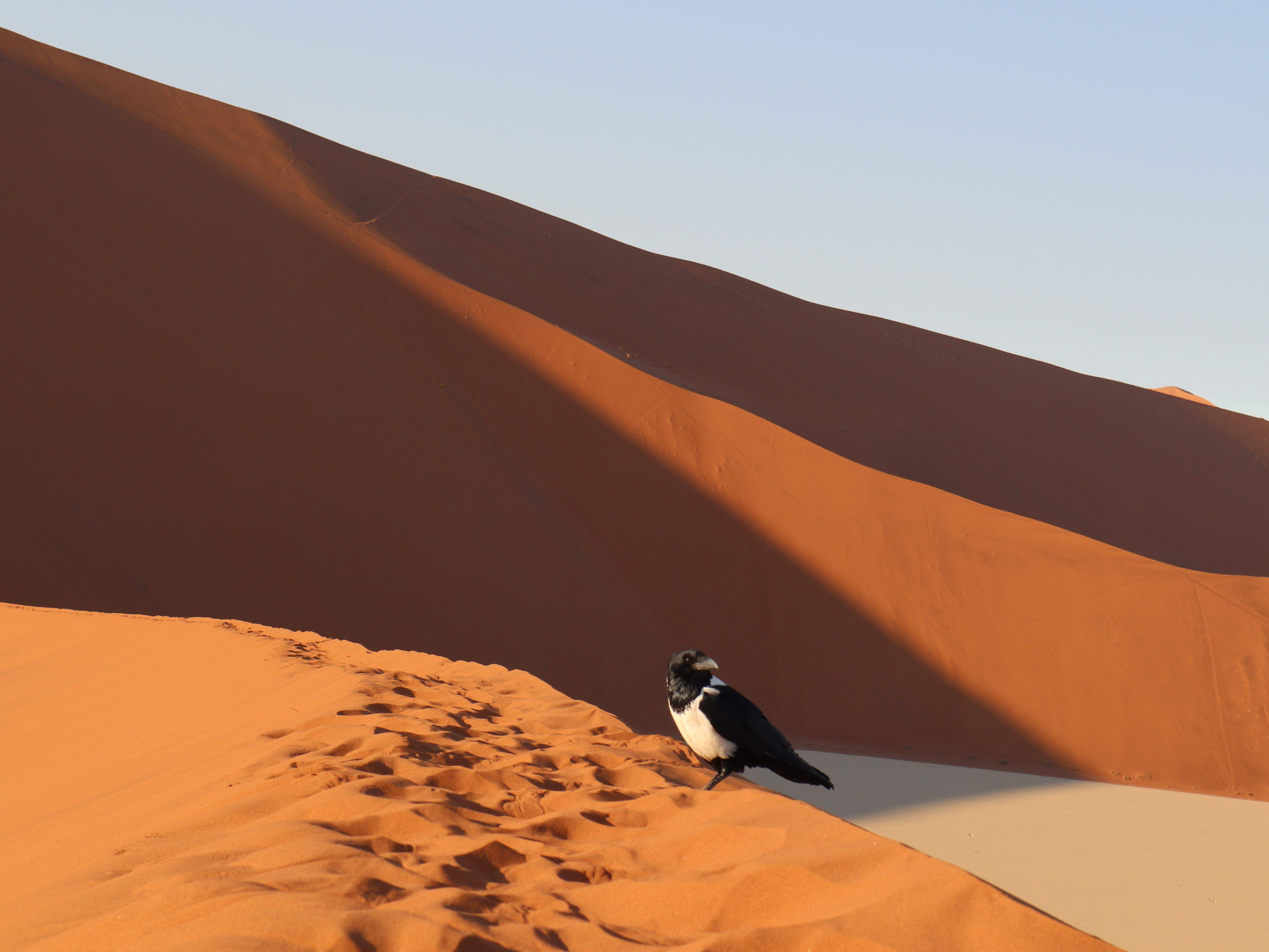 Inesperat · Namibia FOTO: Bertha Mariella 