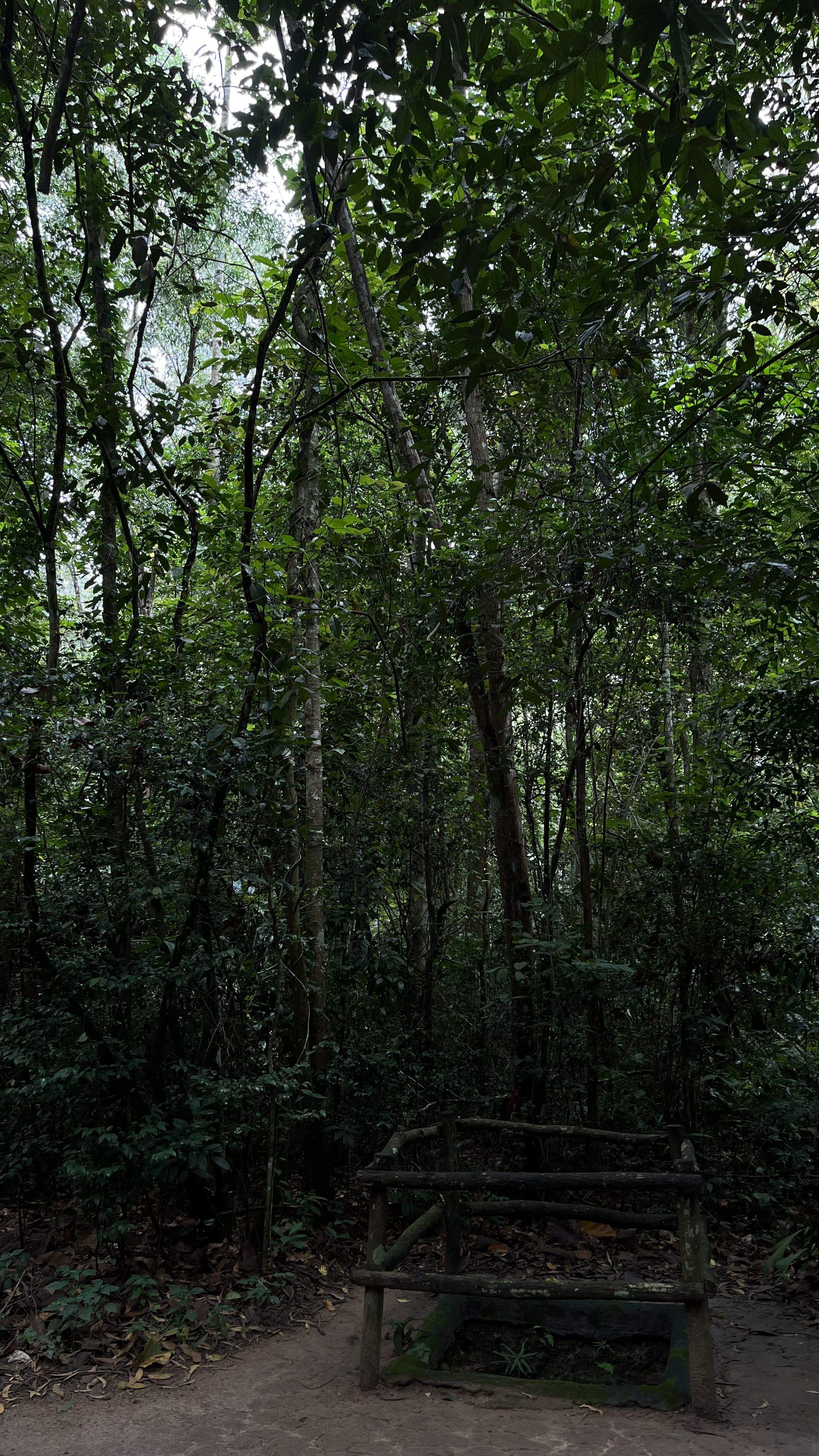 La Natura De Vietnam · Ciutat de Ho Chi Minh FOTO: Júlia Taulé Blancas 