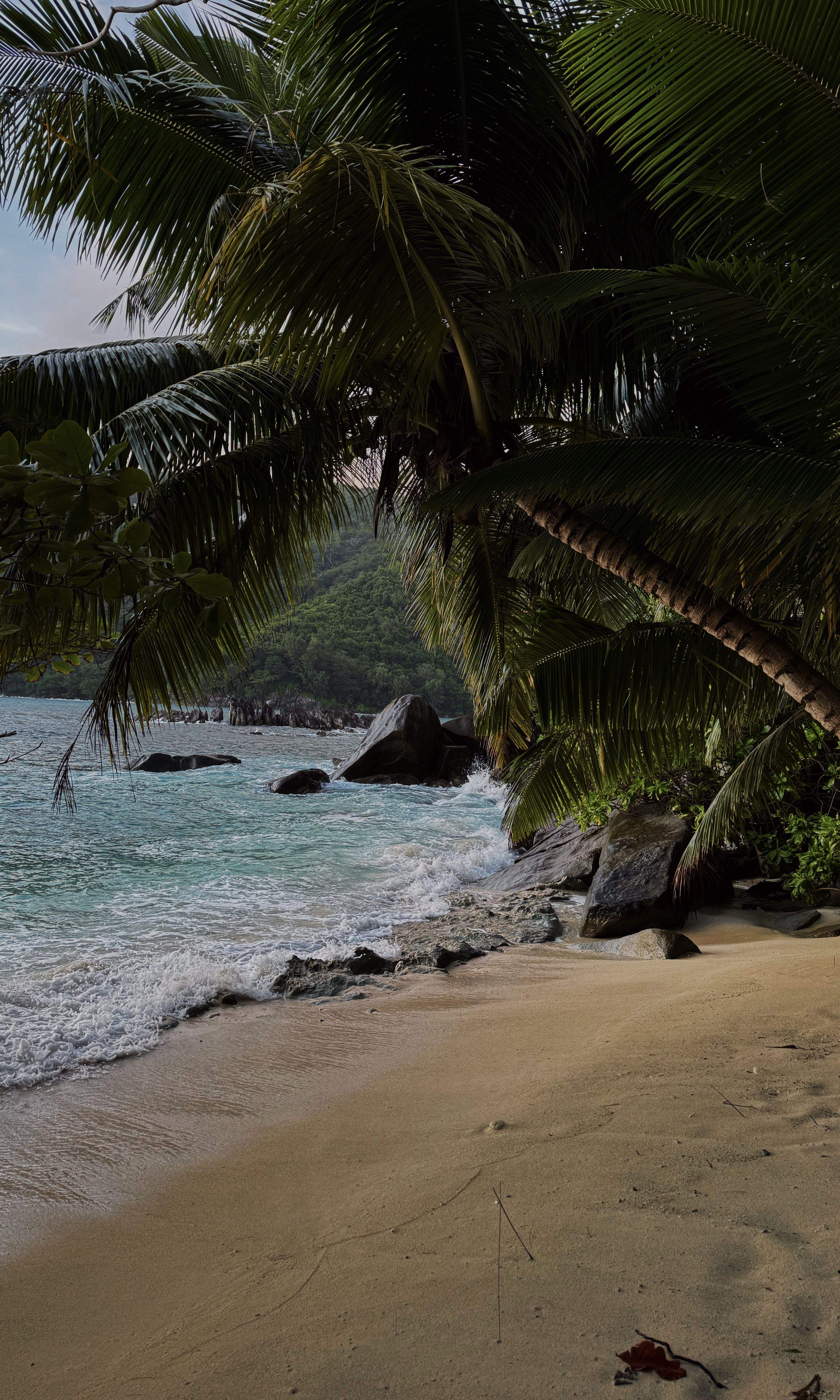 Paradís Tropical a les Seychelles · Mahé, Seychelles FOTO: Júlia Taulé Blancas 