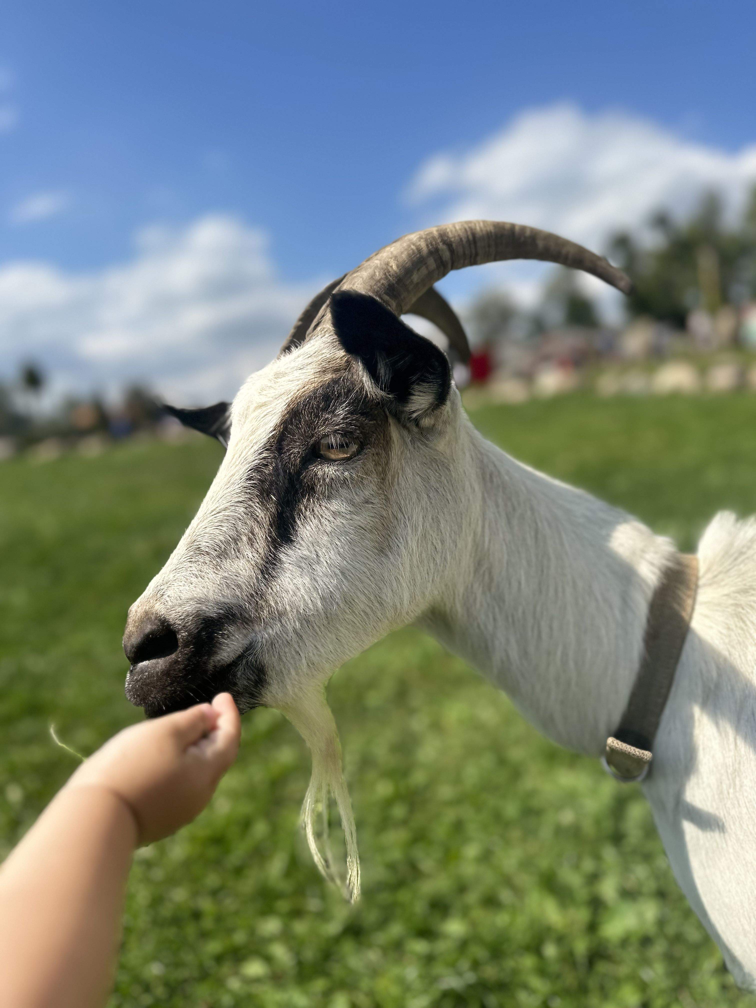 La granja global · Spain FOTO: Tatsiana Kulich 