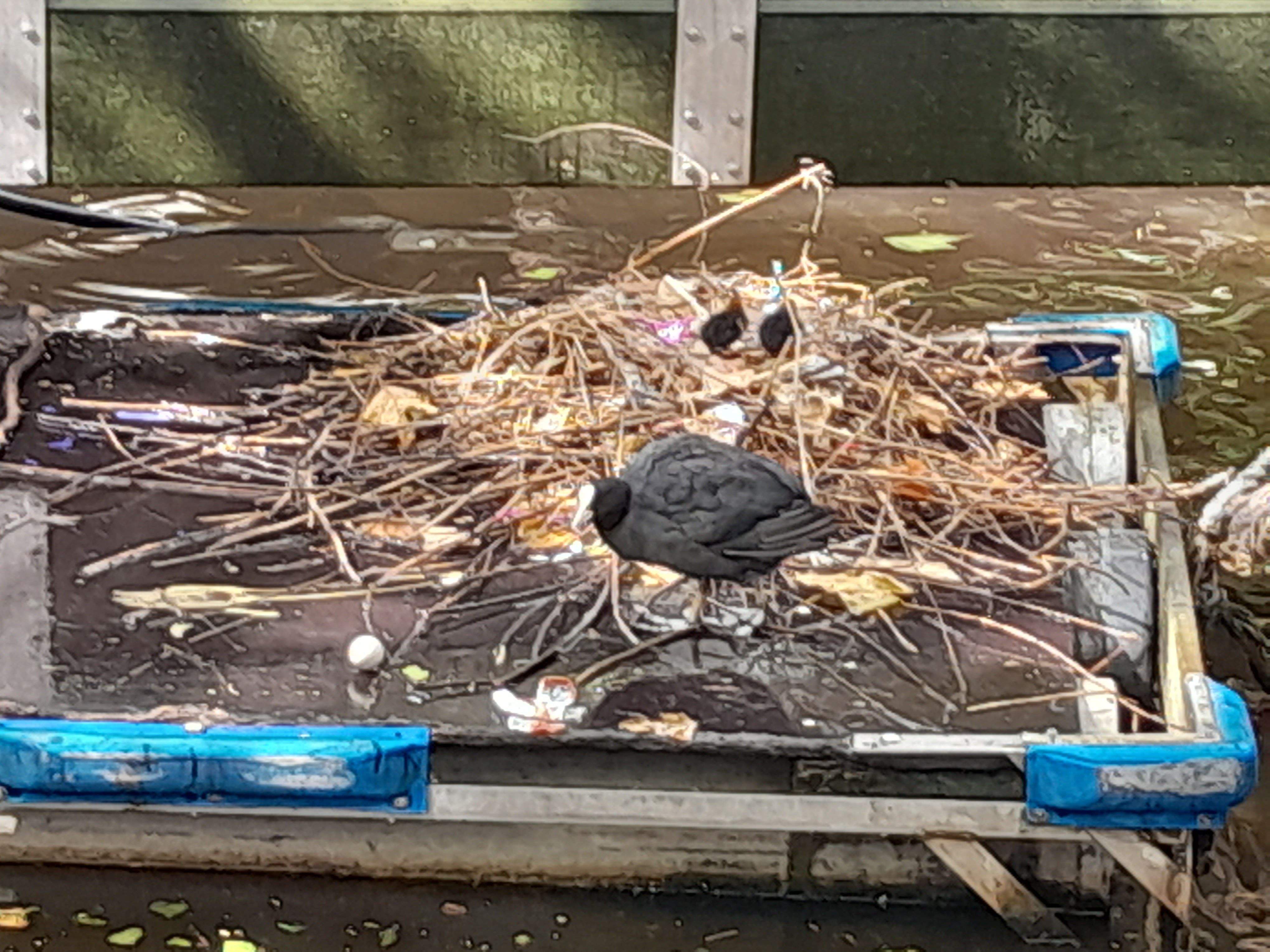 Fen casa · Amsterdam FOTO: Núria Rocabayera Ramirez