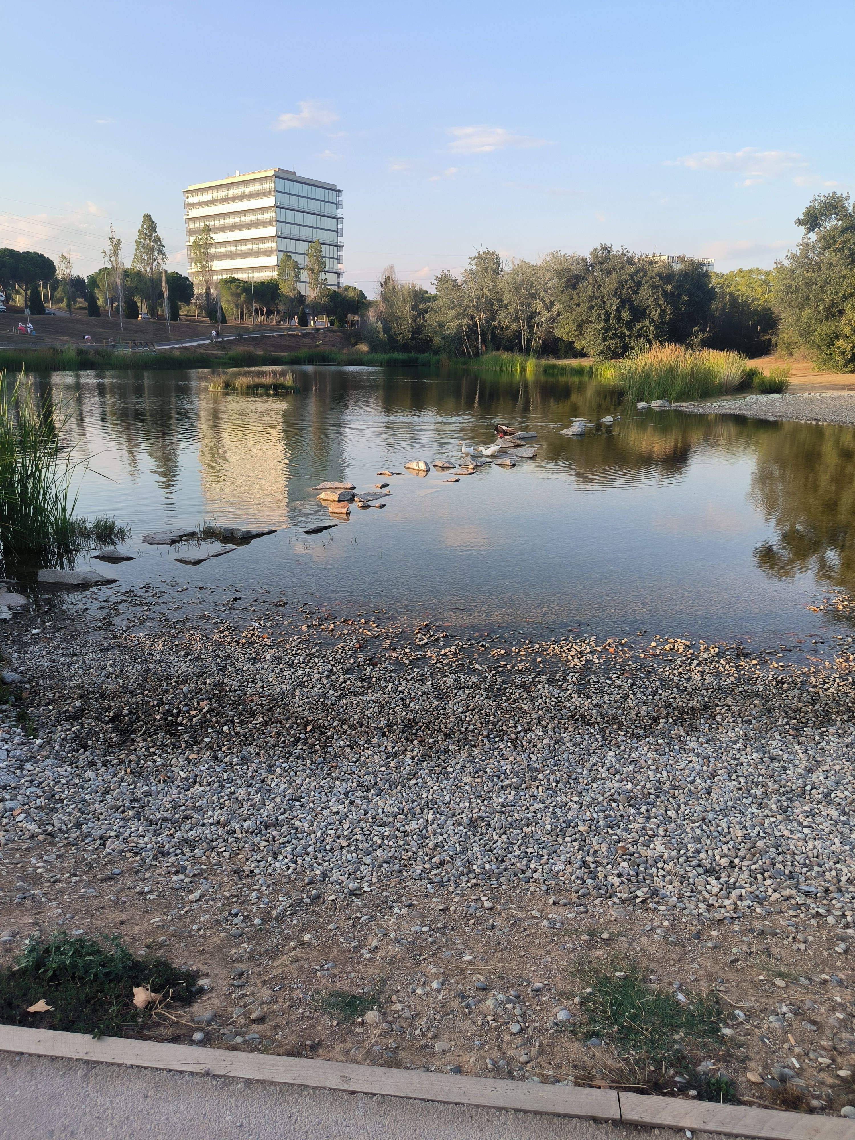El Magic llac de las tortugues · Llac Guinardera Sant Cugat del Vallès FOTO: Ana Doix Perez