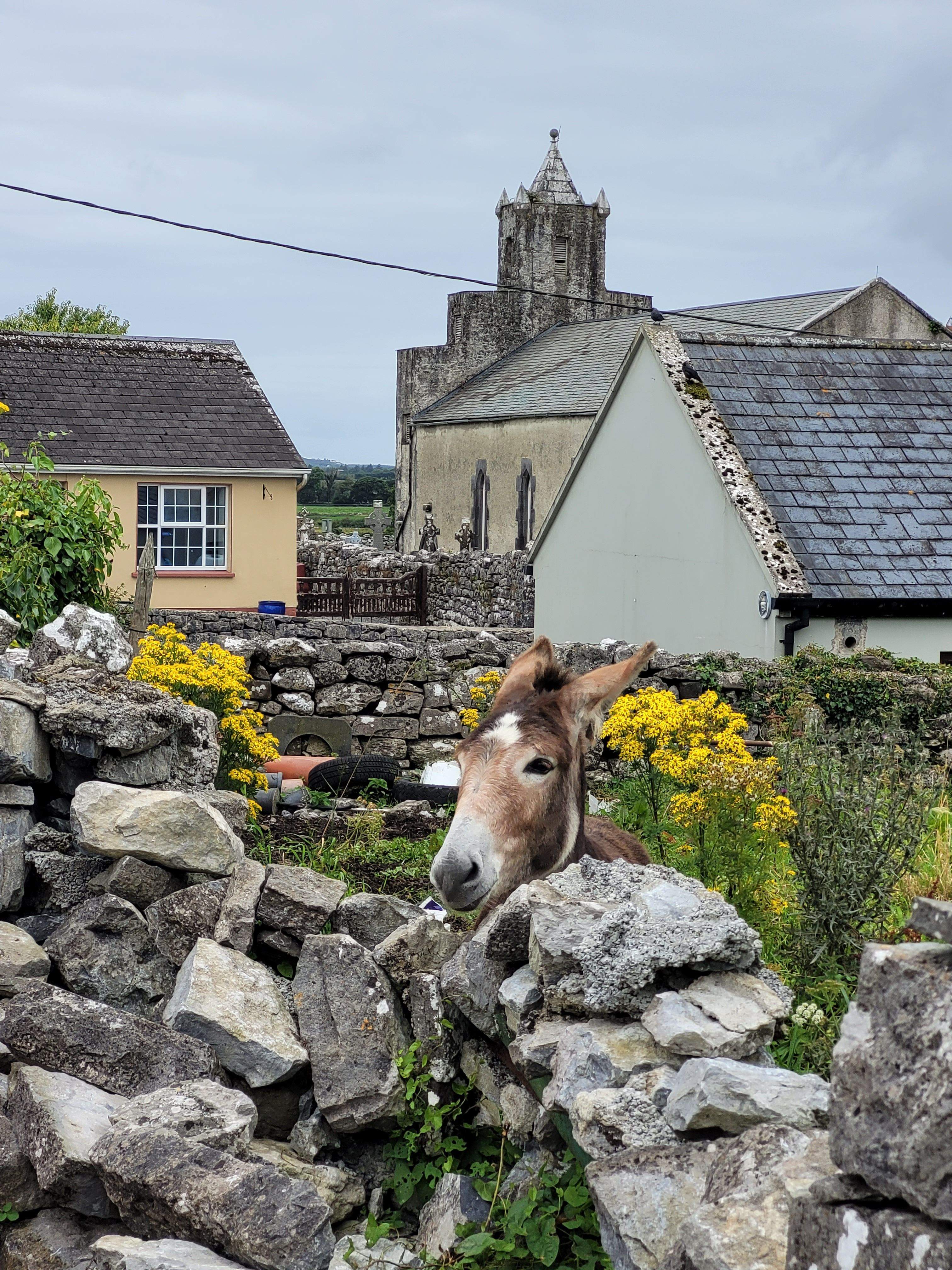 Tinc gana · Irlanda FOTO: Cristina Viladot Lorente