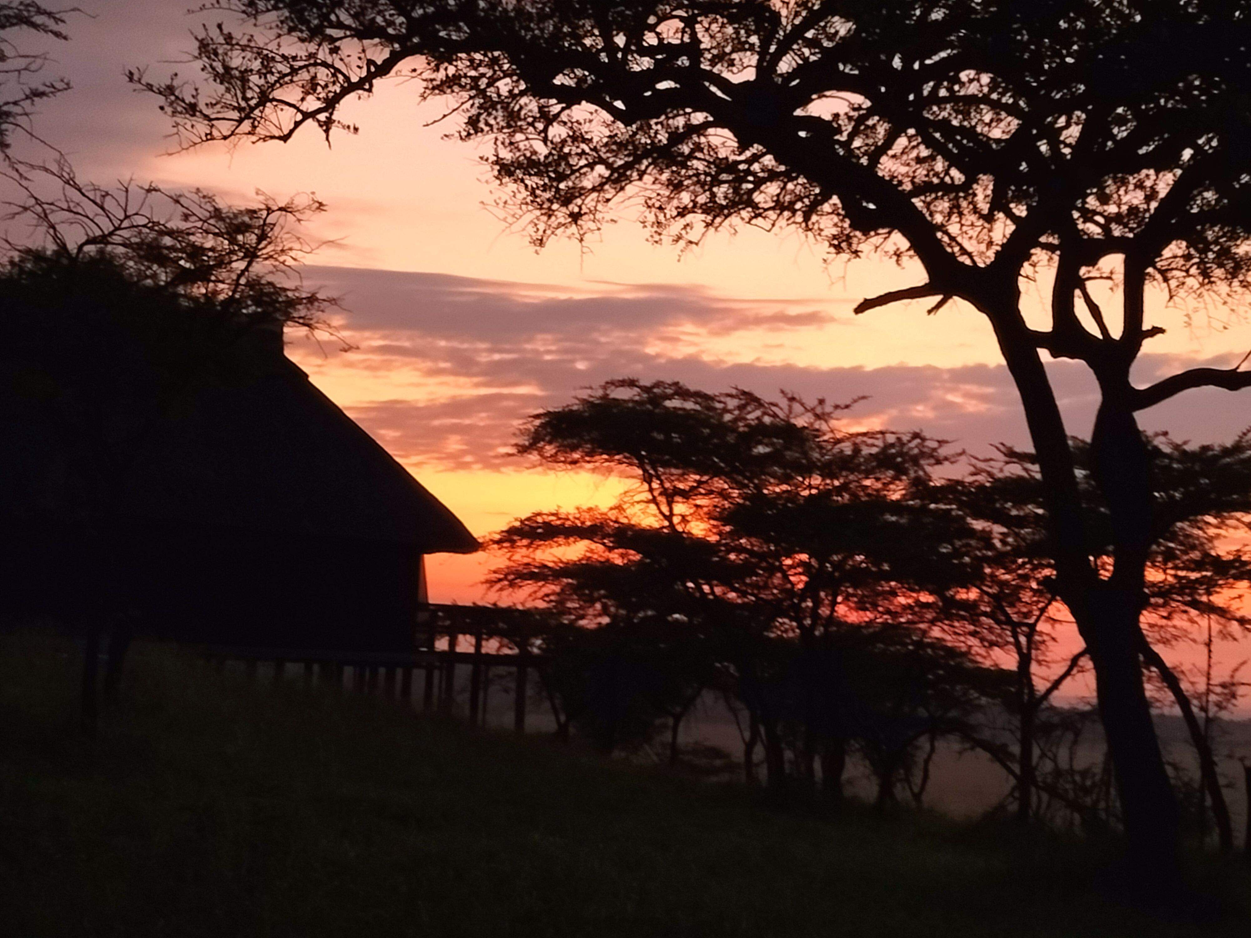 Sortida del sol al Serengueti · Tanzania FOTO: Teresa Prunera Pardell