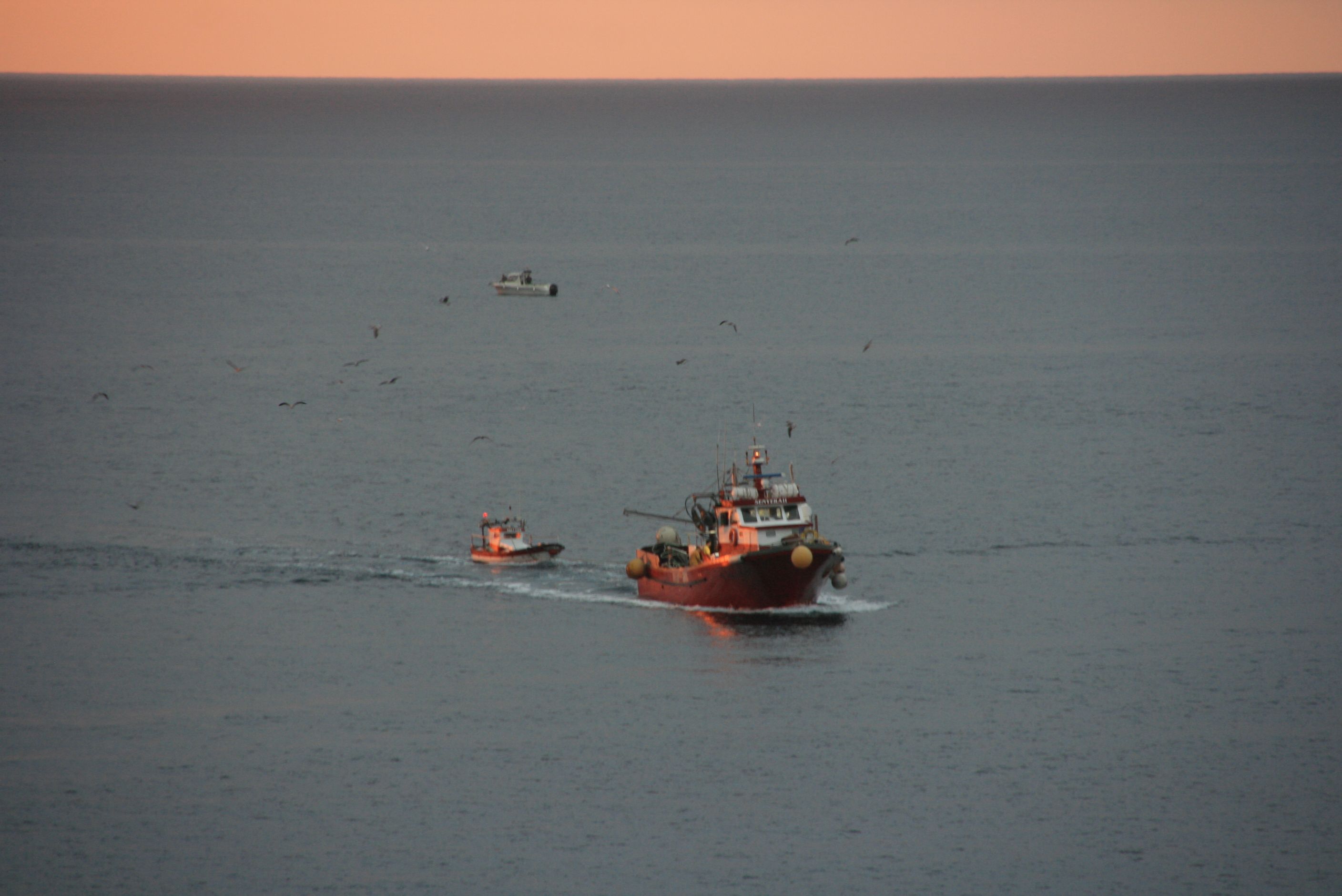 Pescadors tornant a aport · Sant Feliu de Guíxols FOTO: Ramon Costa