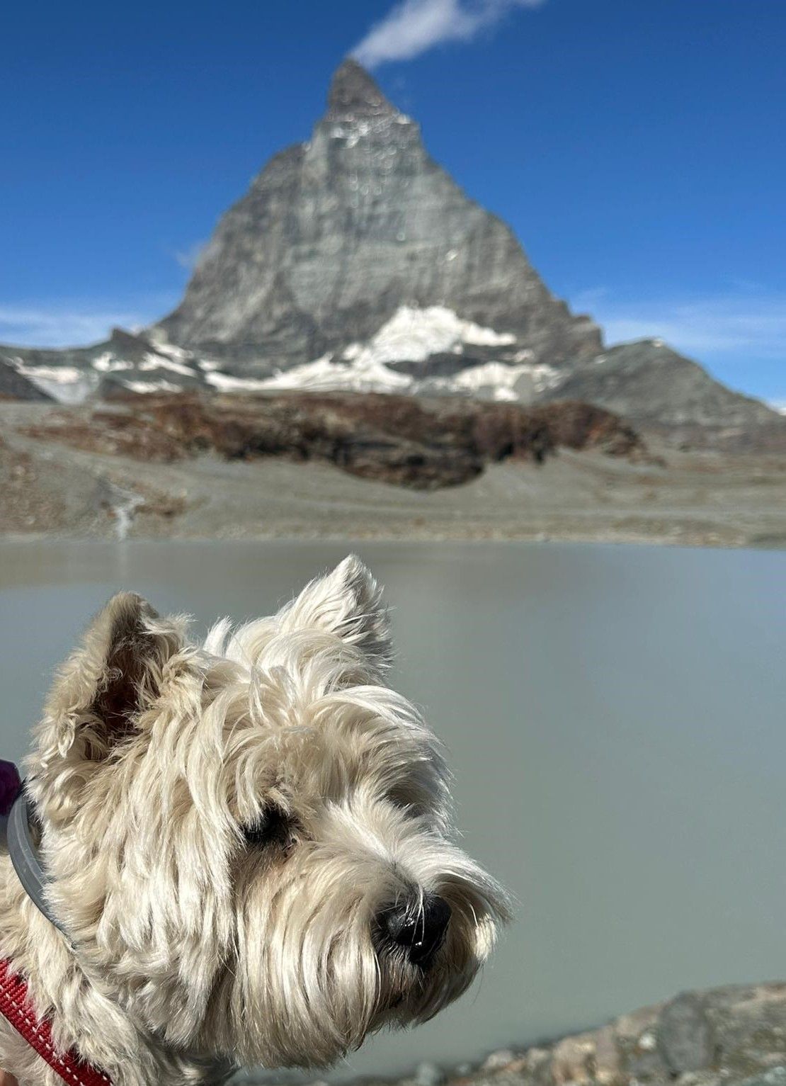 Gos Núvol al Cervino · Cervino, Zermatt, Suïssa FOTO: Xavier Olivella Cargol